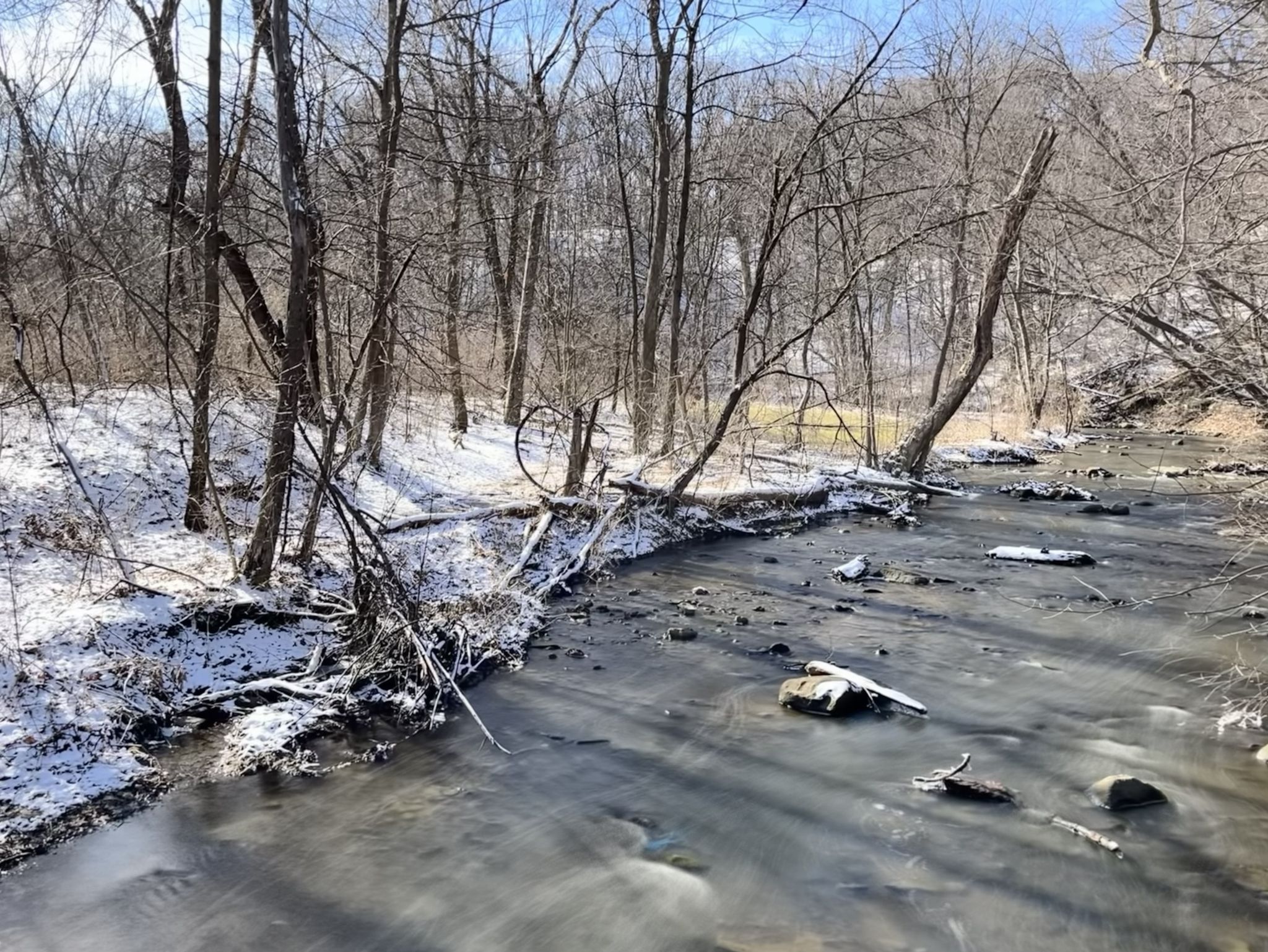 A narrow, flowing stream in a snowy, bare winter forest under a bright sky. - Yellow Loop Trail