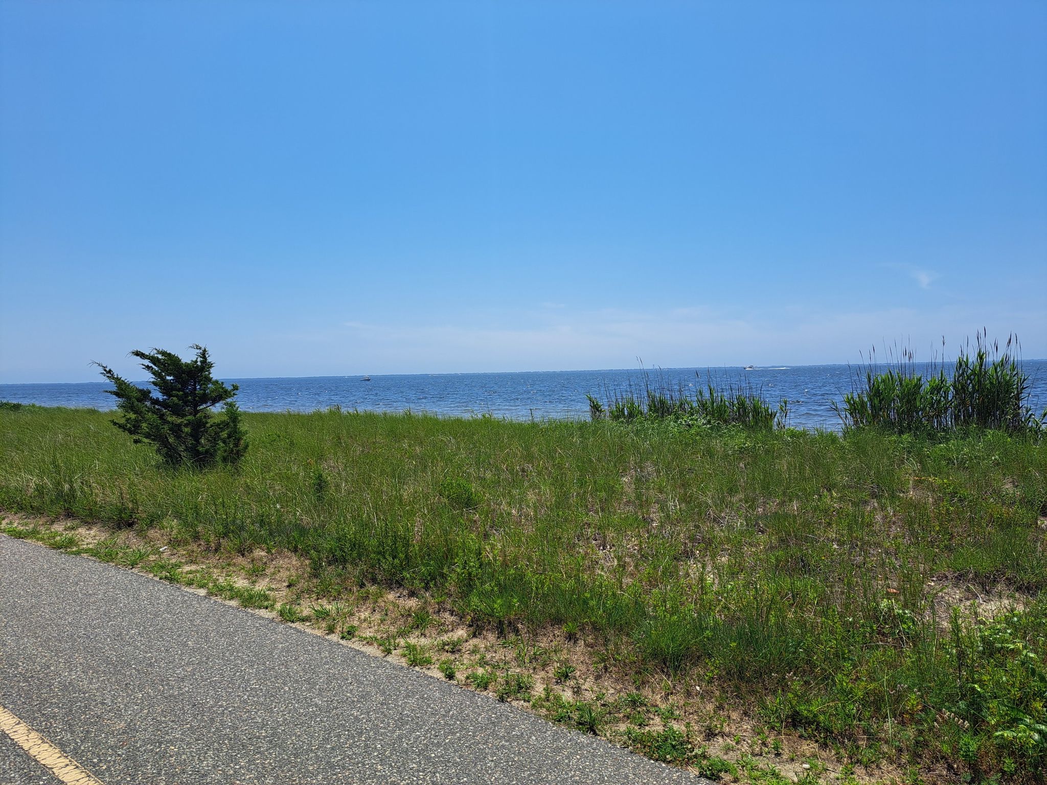 Paved path alongside a grassy field with a small tree and blue ocean. - Overlook Beach loop from Heckscher State Park