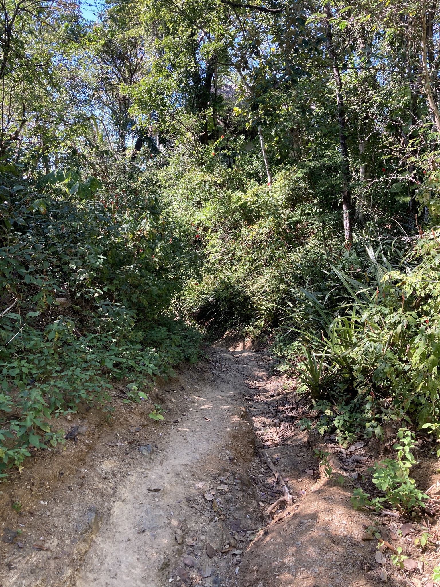 Zugang zum Playa Pleito hinter San Juanillo