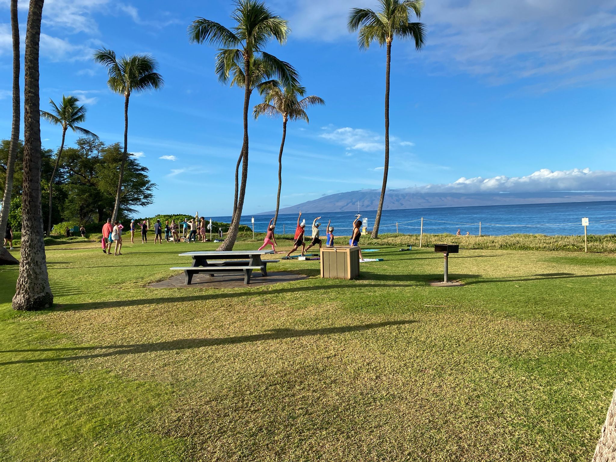 Group of people doing yoga on a green lawn near the ocean. - Farmers market – Kaanapali Beach Path loop from Kaanapali