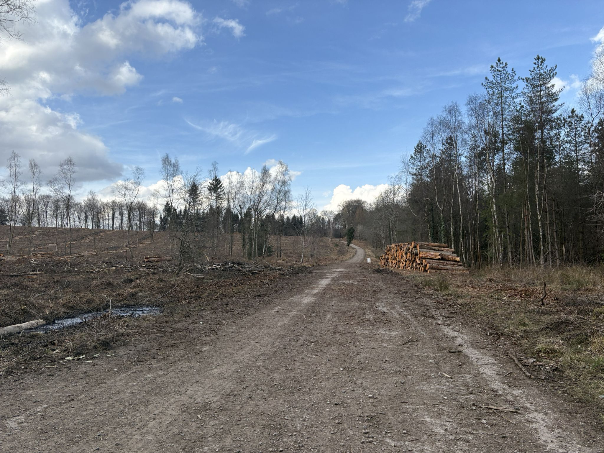 Logs