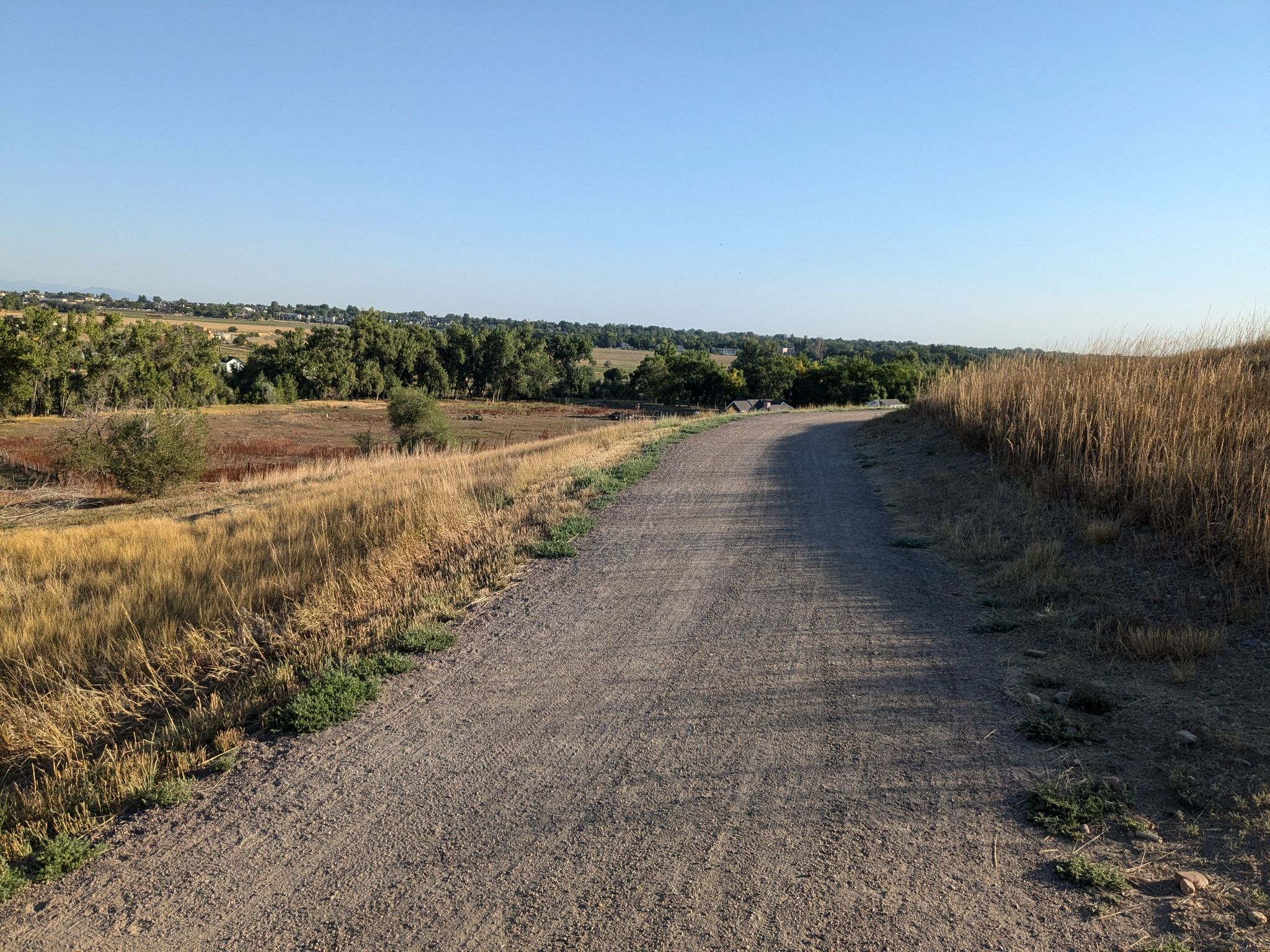 A sunny dirt path curves through dry grass and distant green trees. - Rock Creek and Coal Creek Trail Loop