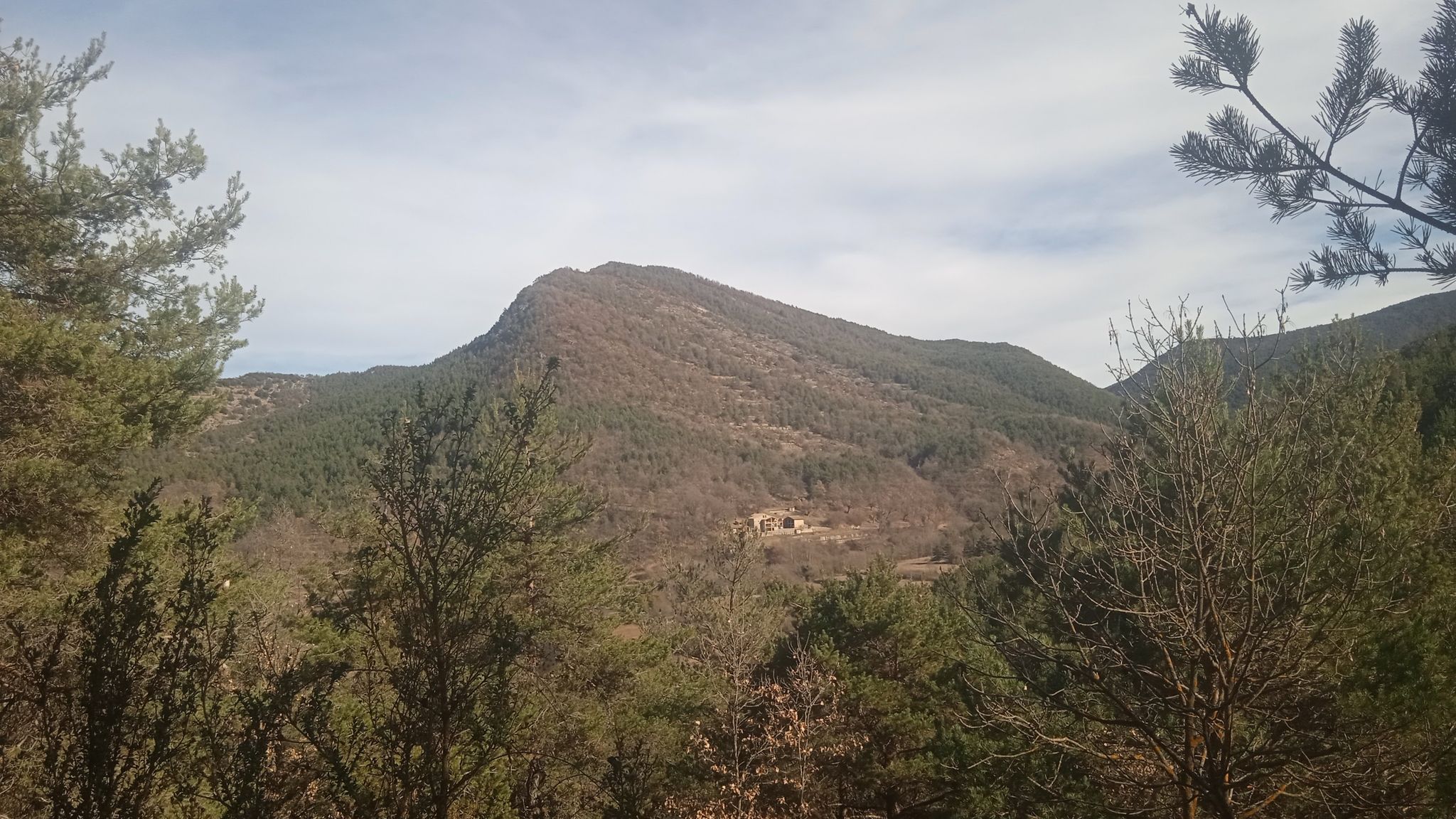 El Banyador i la Pomera