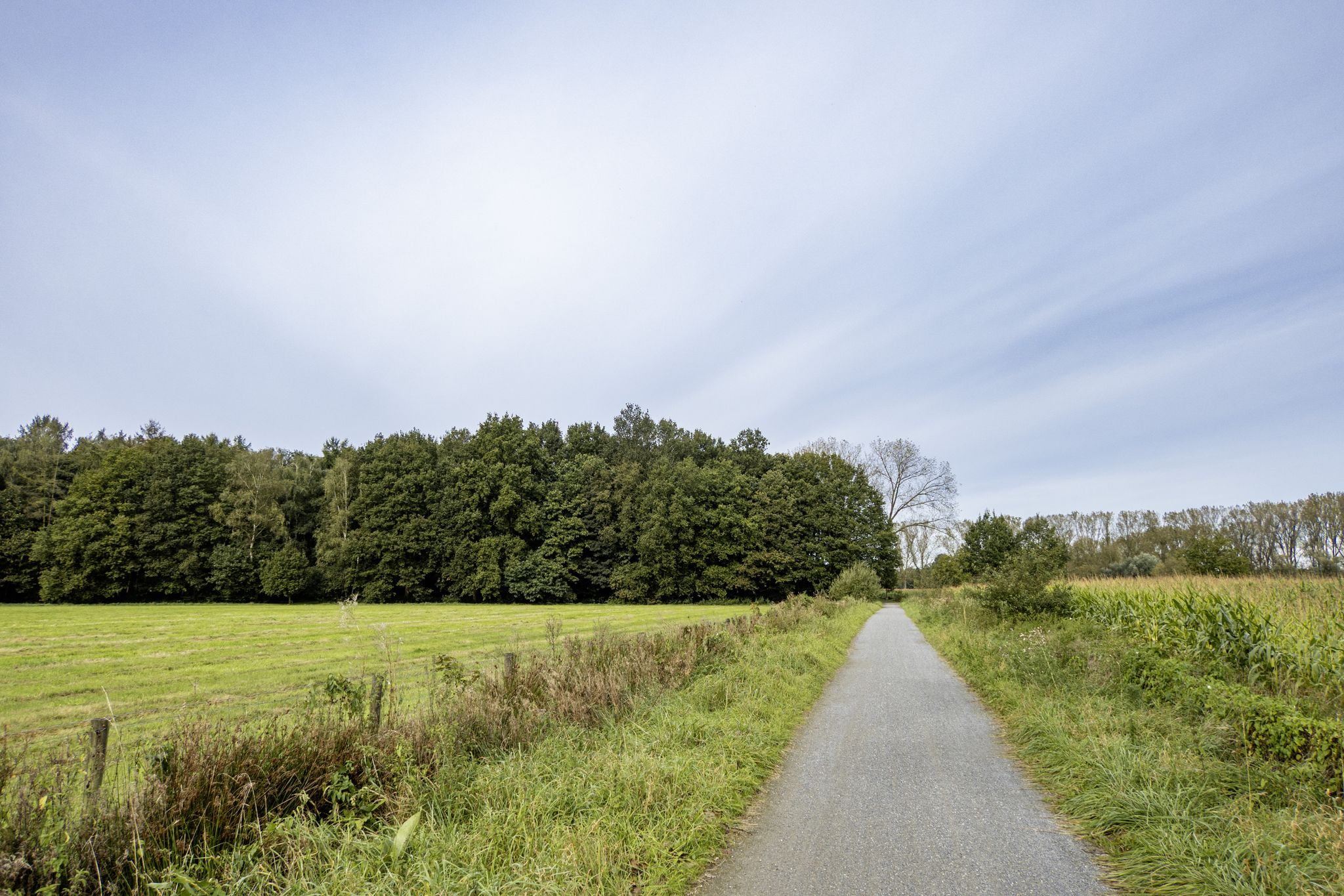 Over gravel richting Aartselaar