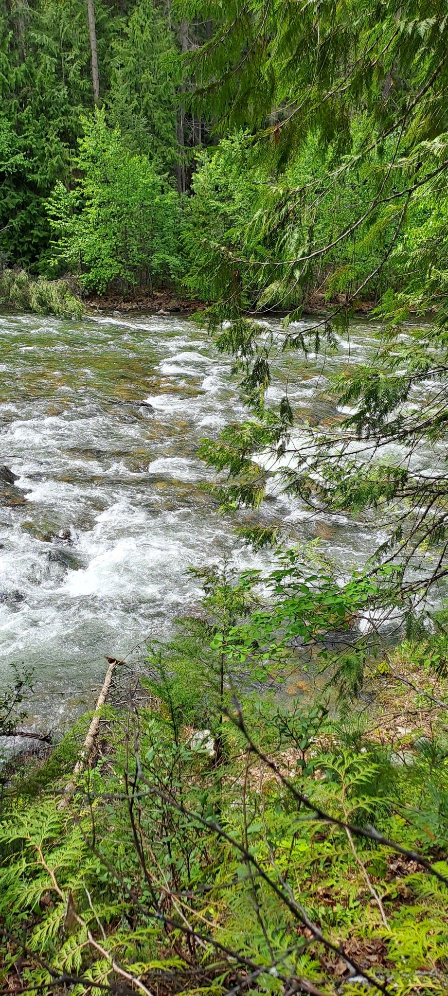schöner Wildbach