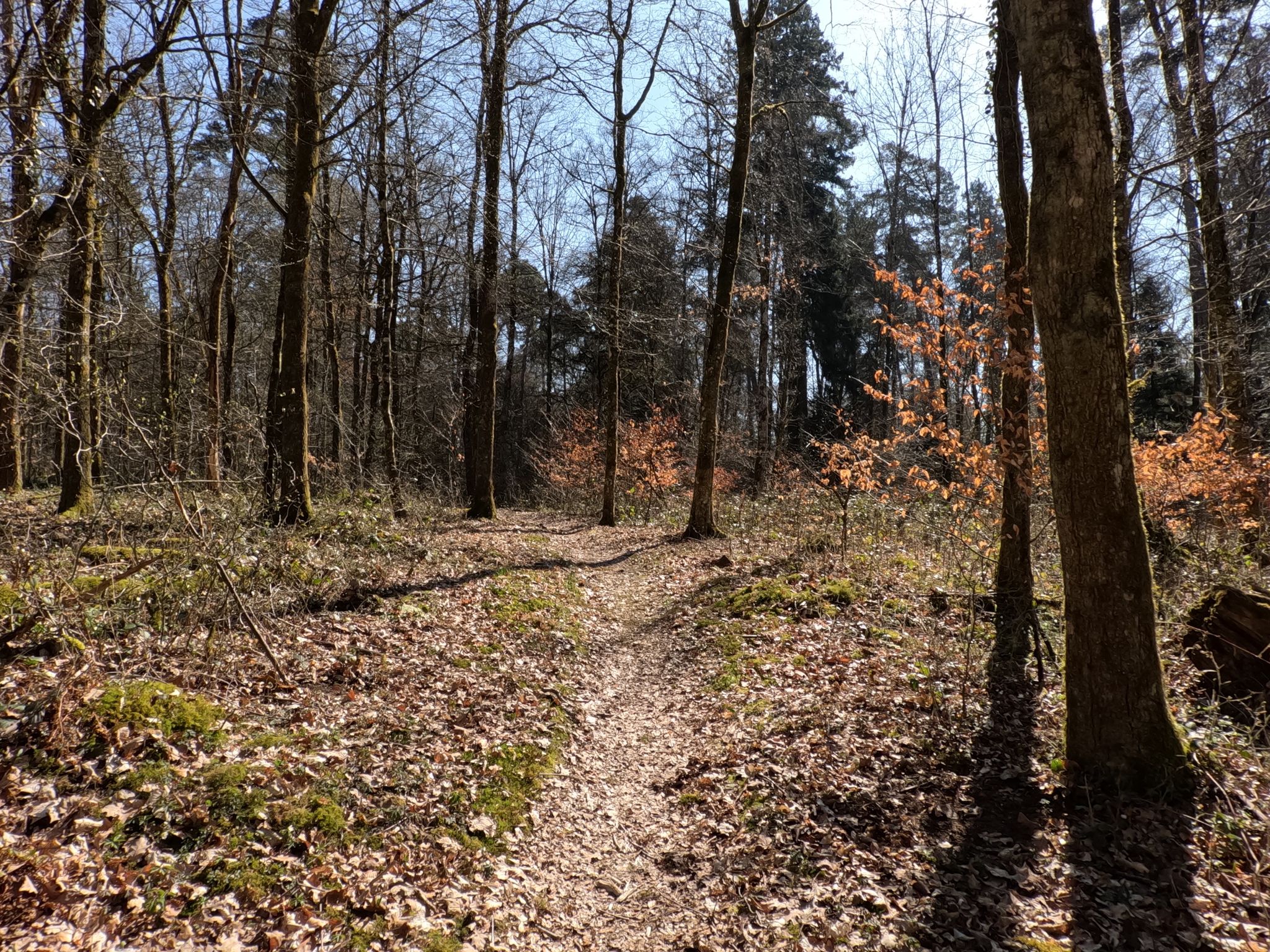 Trail Bike Park