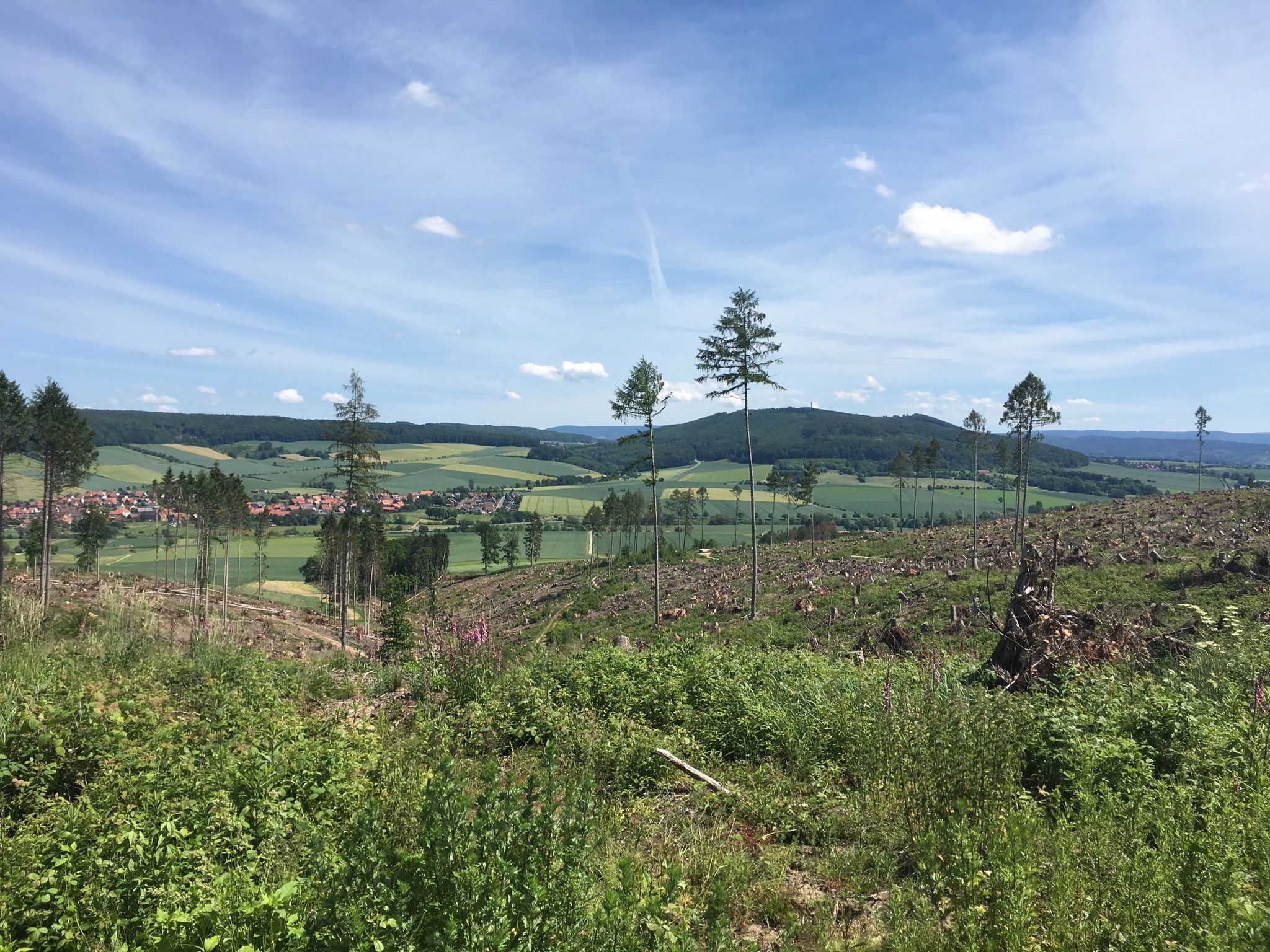 Rechts von Sebexen der Kahlberg mit Funkmast und Franzosenstein