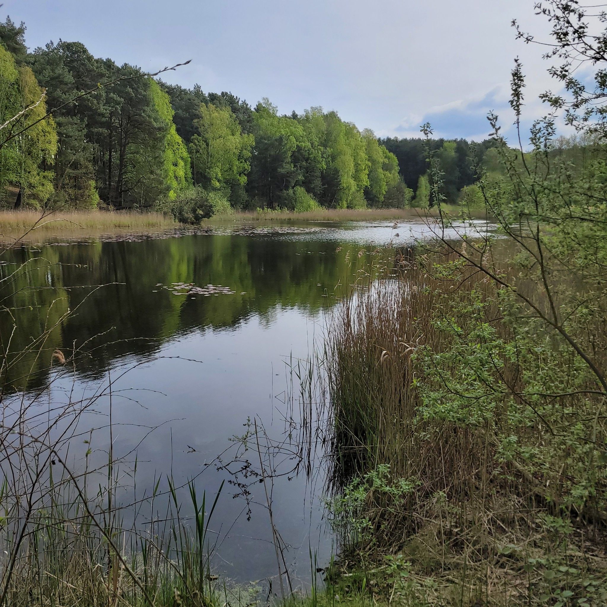 Blasdorfer 3 Teiche