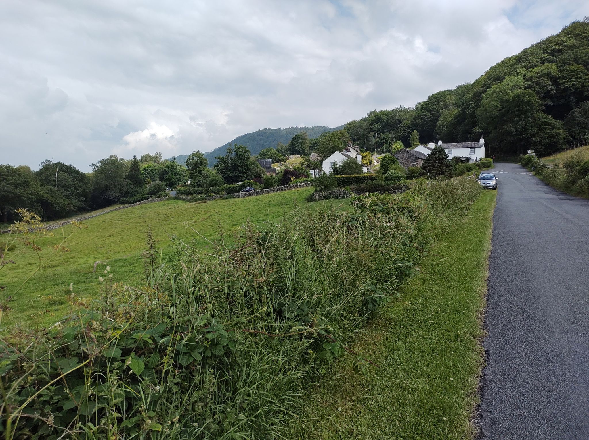 Heading : Grizedale.