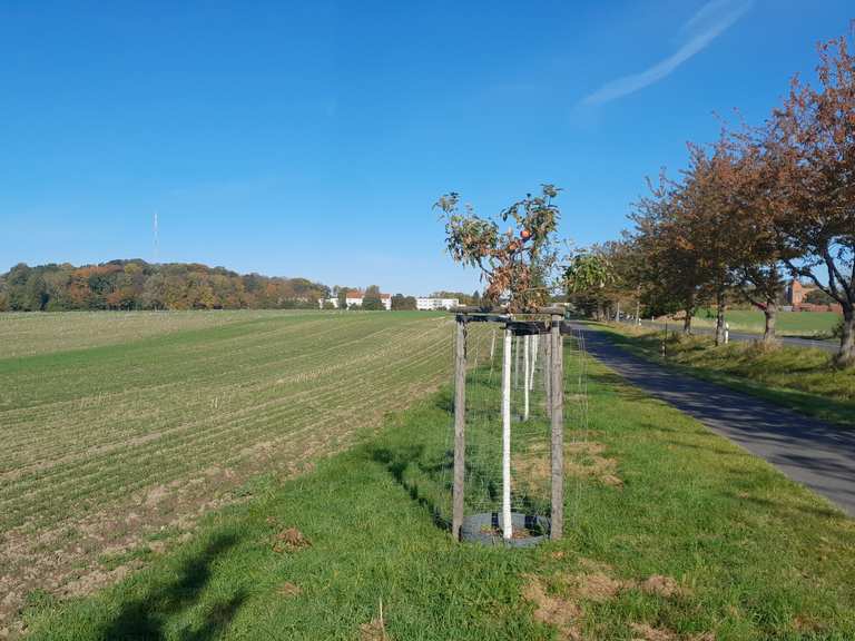 Sonne haschen 😵‍💫 | Wanderung | Komoot