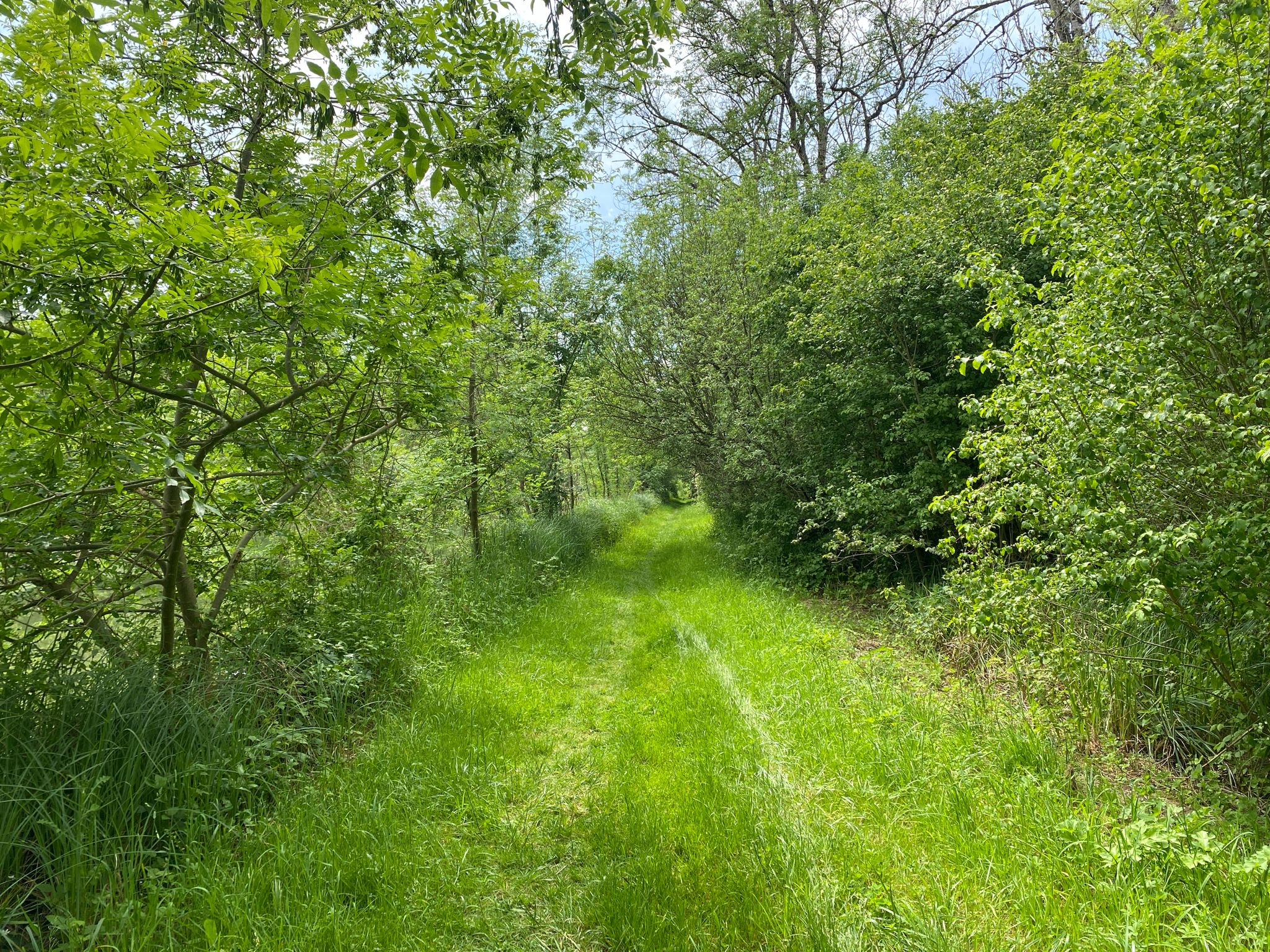 ist das der Radweg?