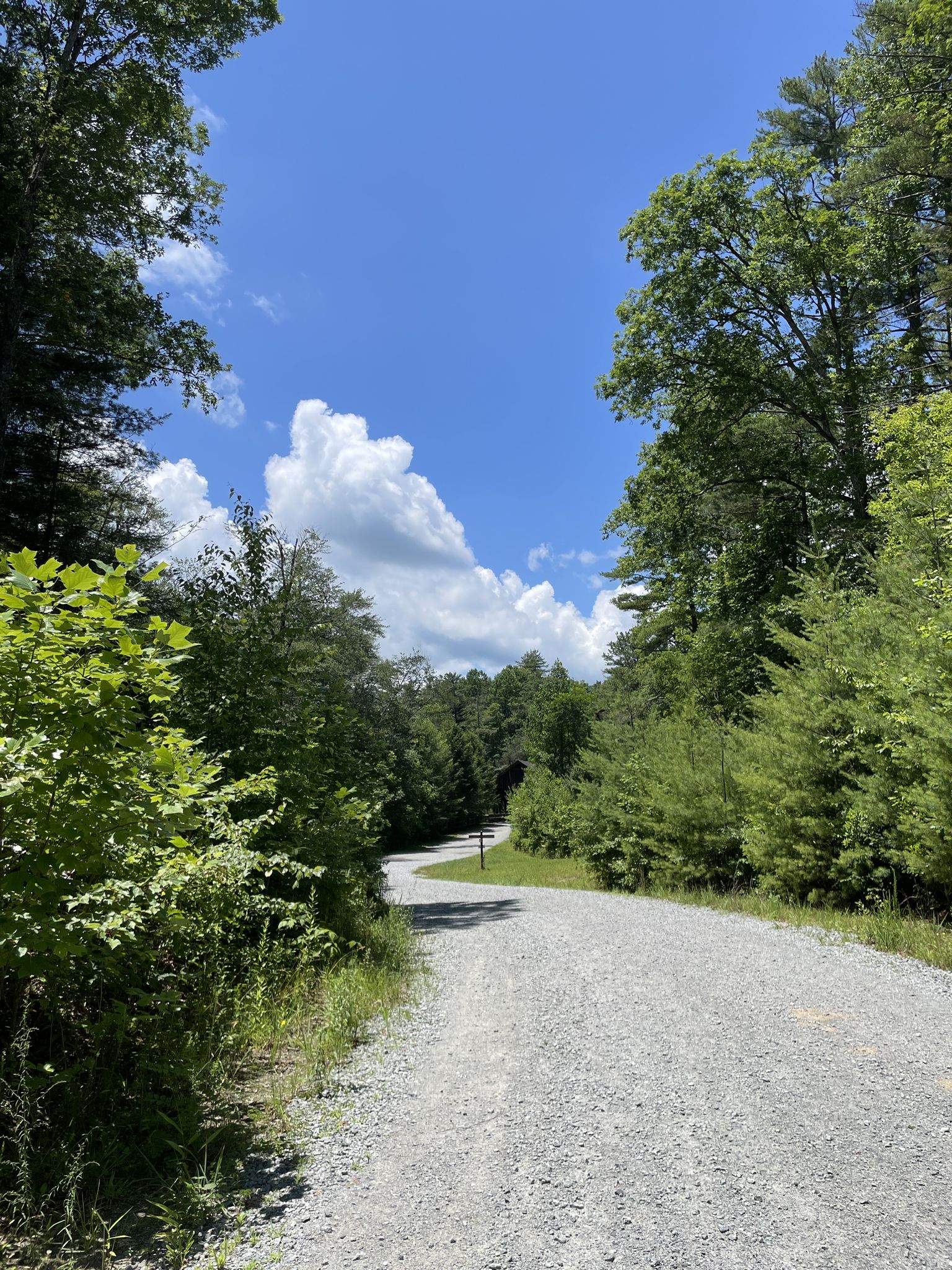 Gravel road winding through a green forest under a bright blue sky with clouds. - Lake Dense – Wintergreen Falls loop from Guion Farm Access Area