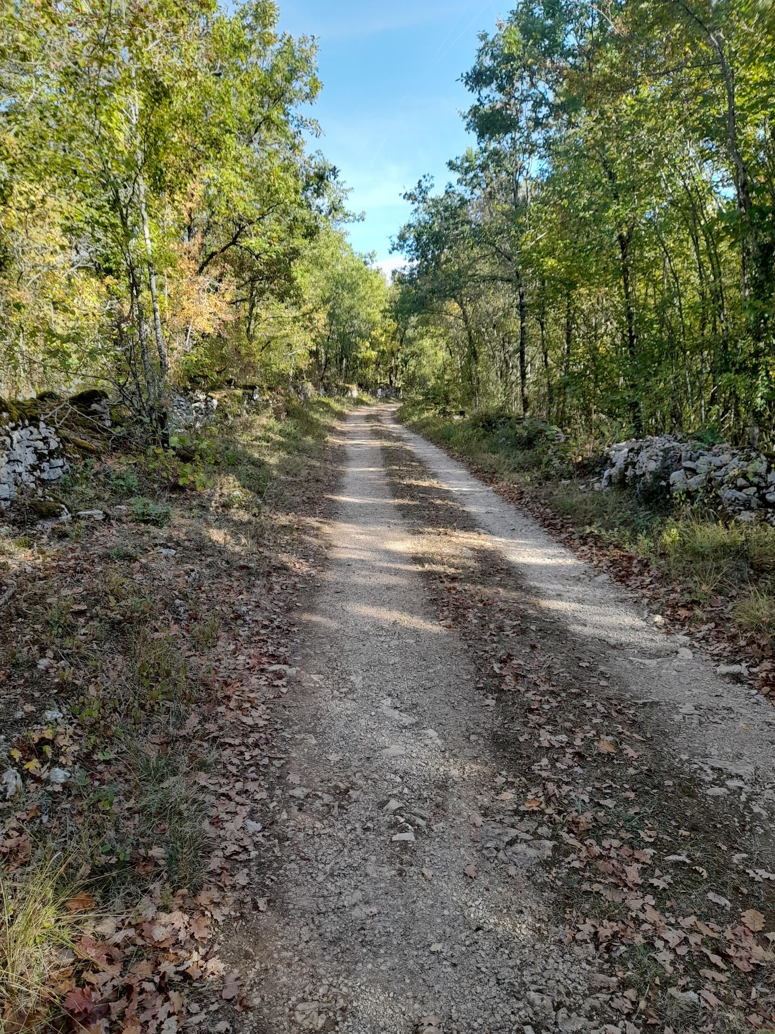 schönes gravel weg