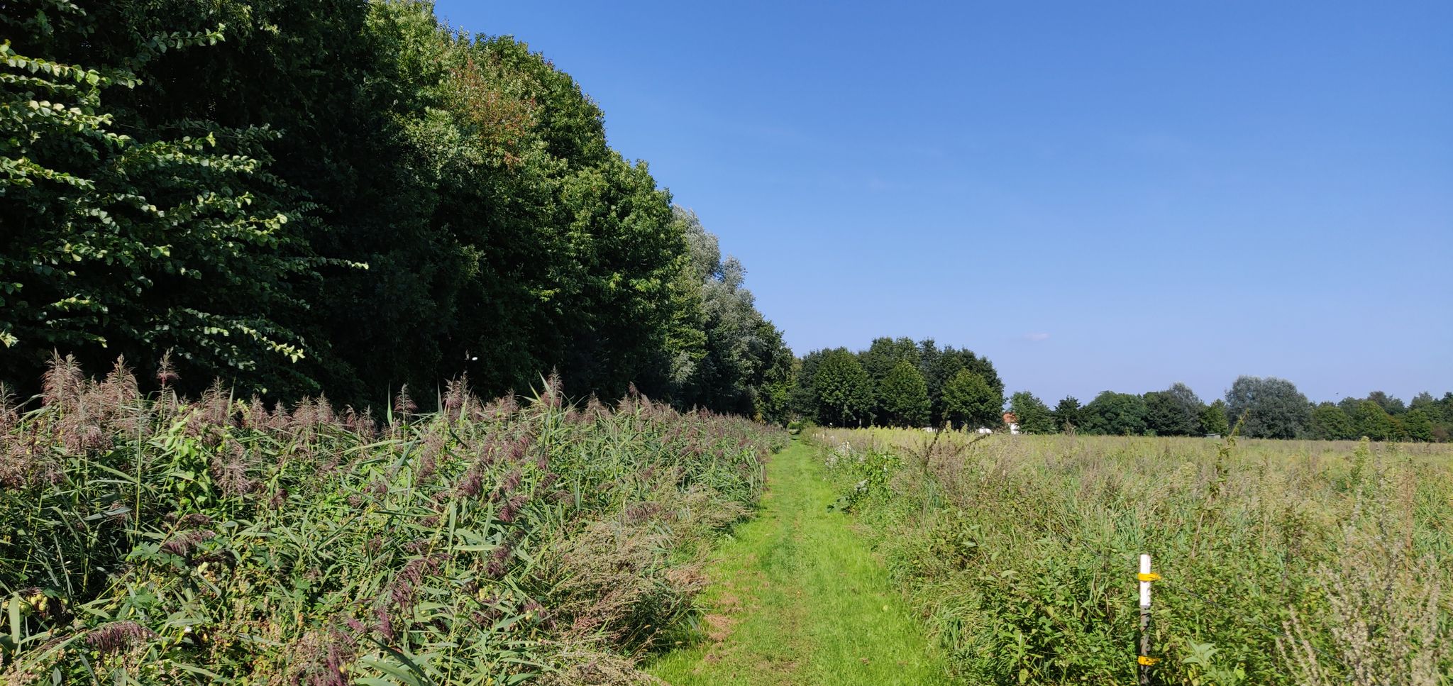 Blick zurück zum Bleichplan. Links fließt ein Schradengraben, die Grenzpulsnitz ist schon lange umgelegt.