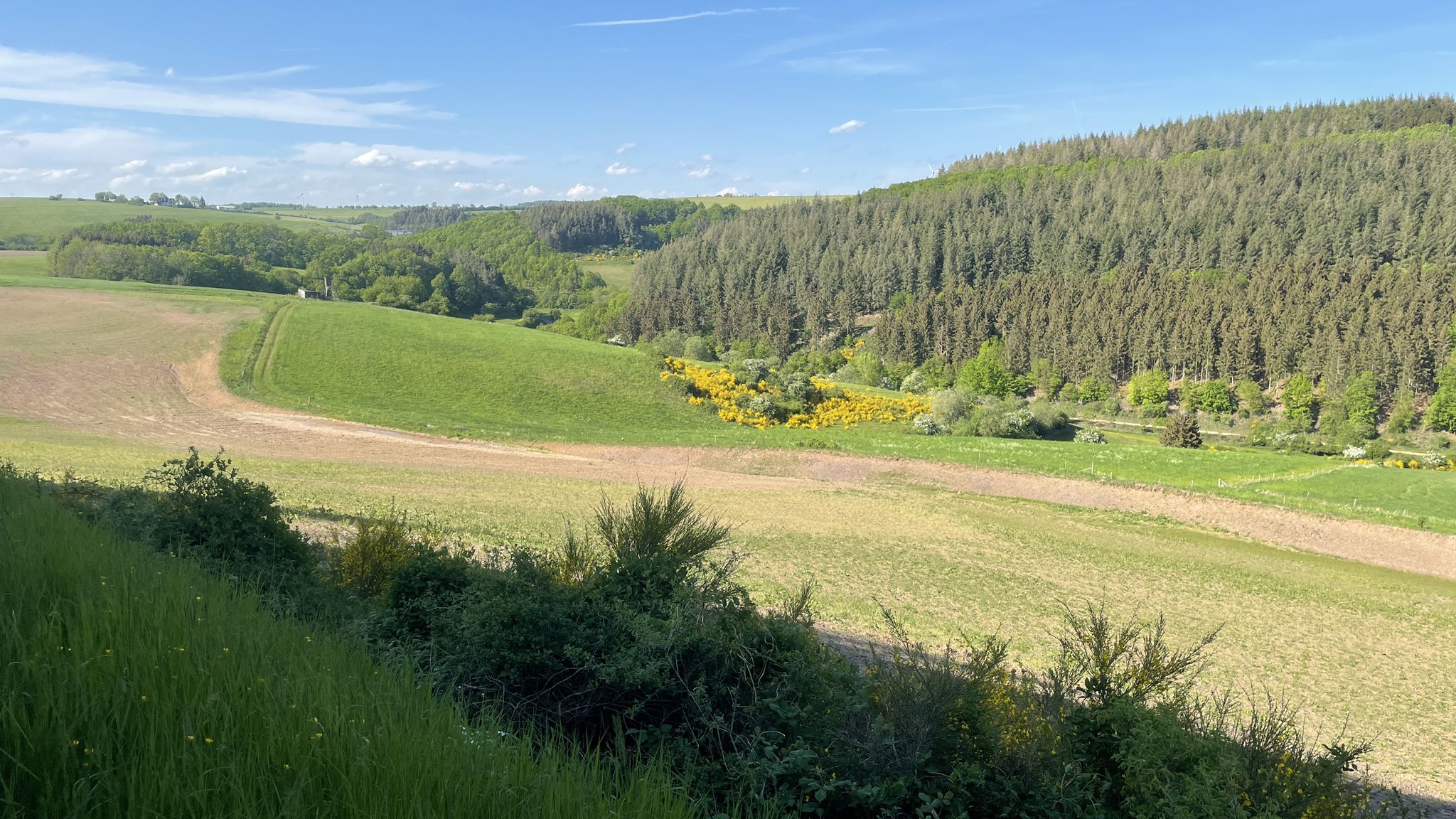 Prümtal-Radweg vor Plütscheid