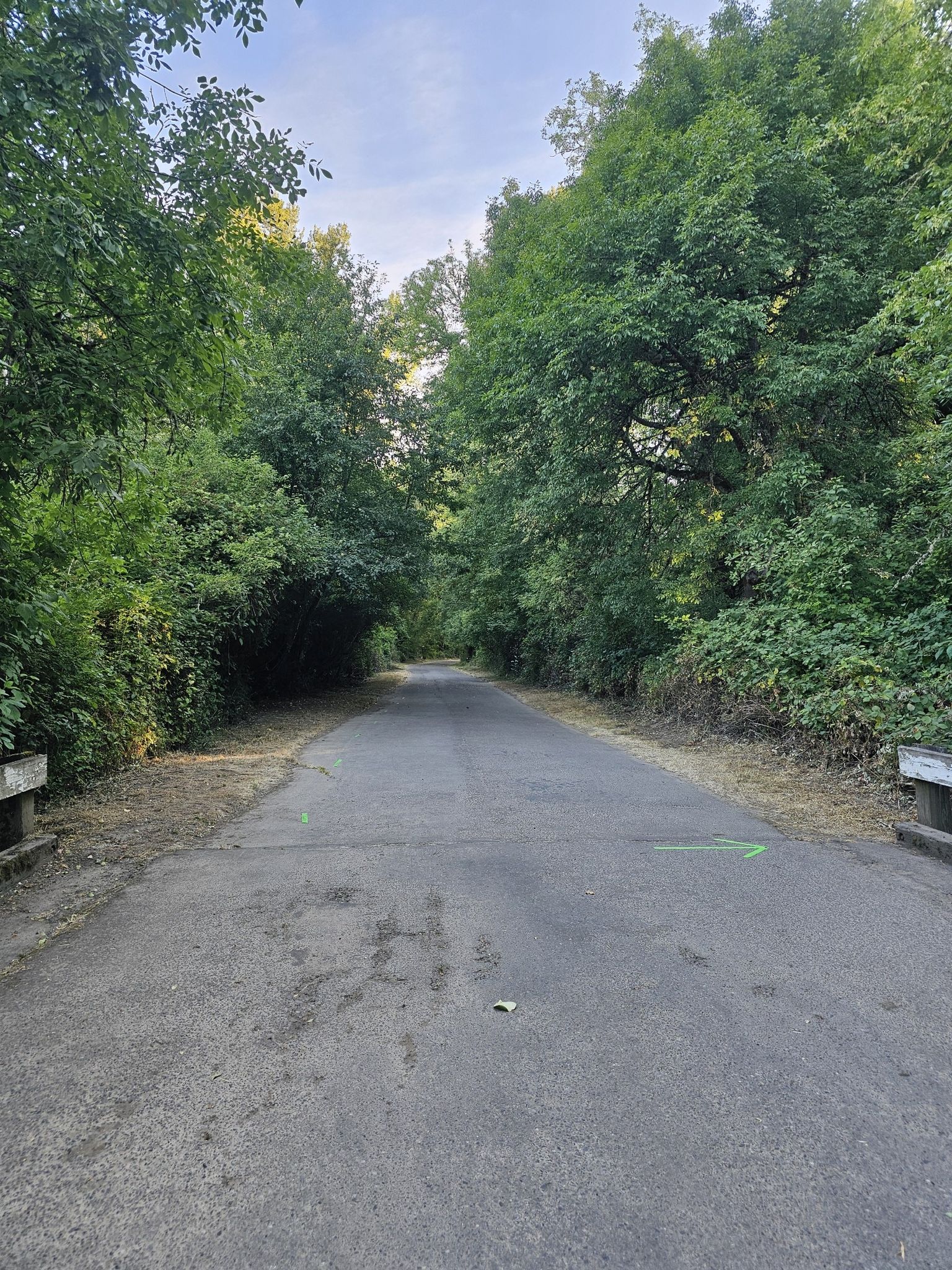 Paved path through dense green forest, bright daylight. - Minto-Brown Island Park – Minto-Brown Island Park loop from Minto-Brown Island Park