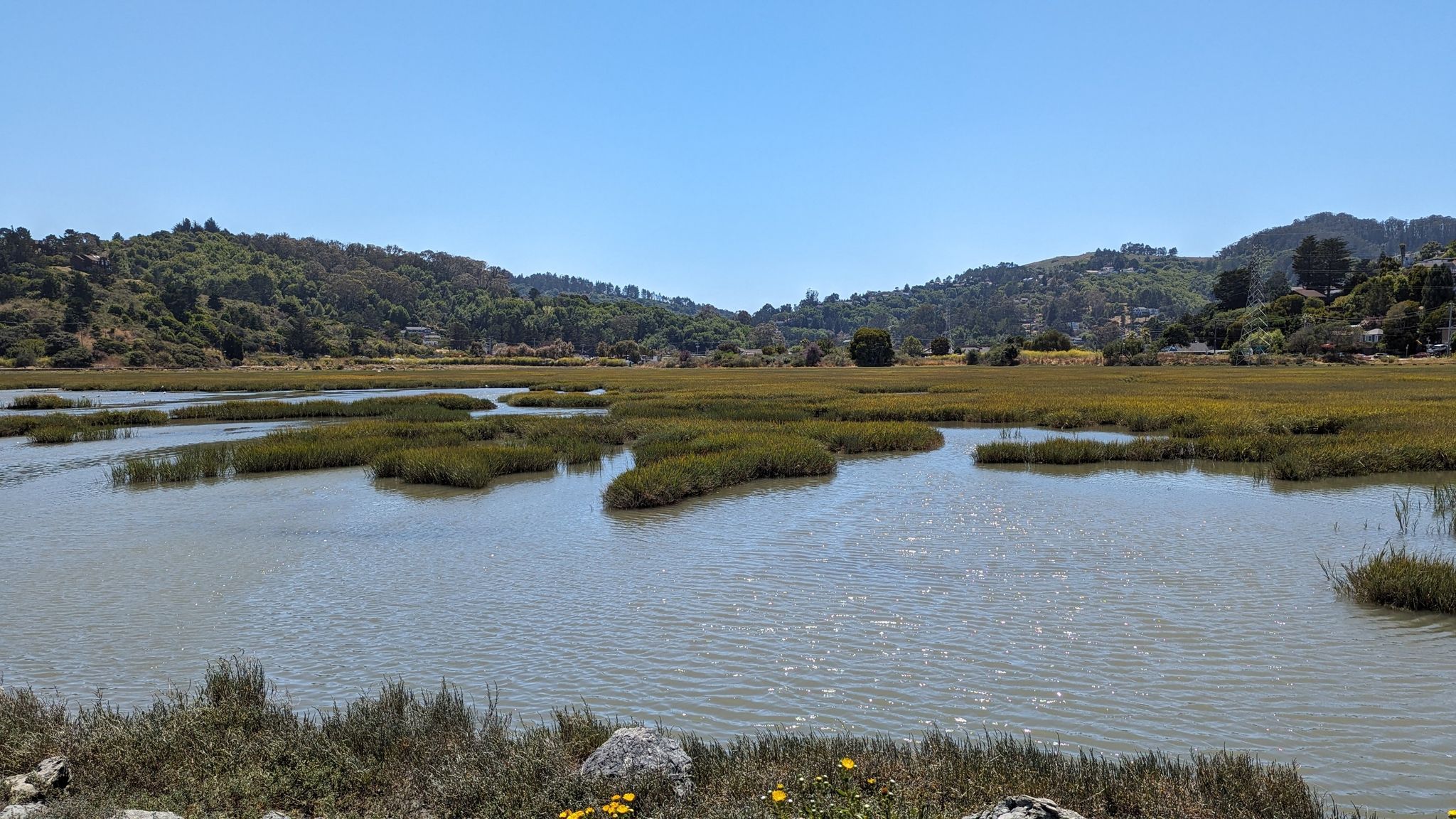 Wide marshland with water channels and green plants on a sunny day. - Sausalito — Mill Valley Path – Bothin Marsh Preserve loop from Sausalito