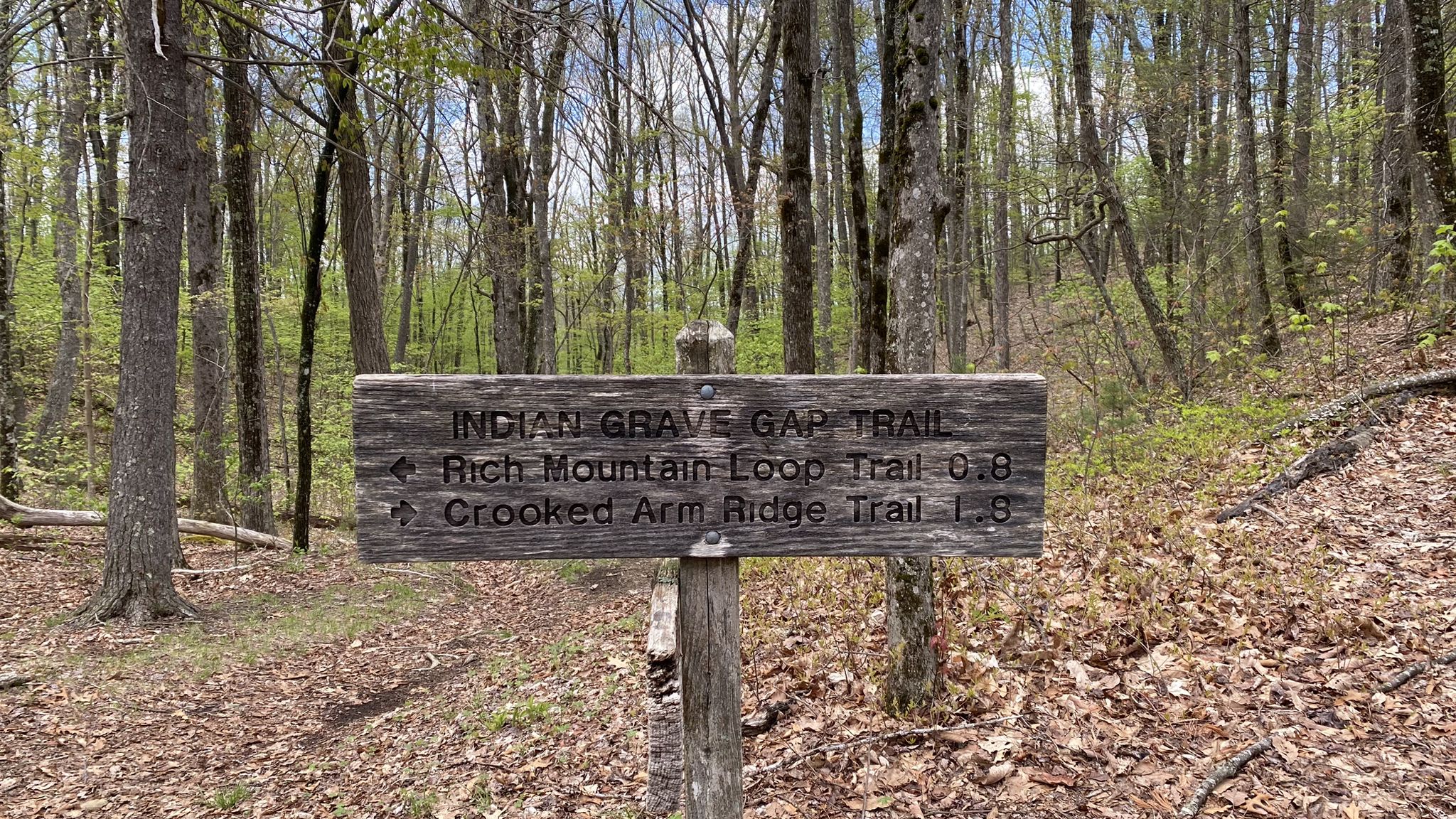 A weathered wooden trail sign stands on a leaf-covered forest floor. - Rich Mountain to Indian Grave Gap Trail