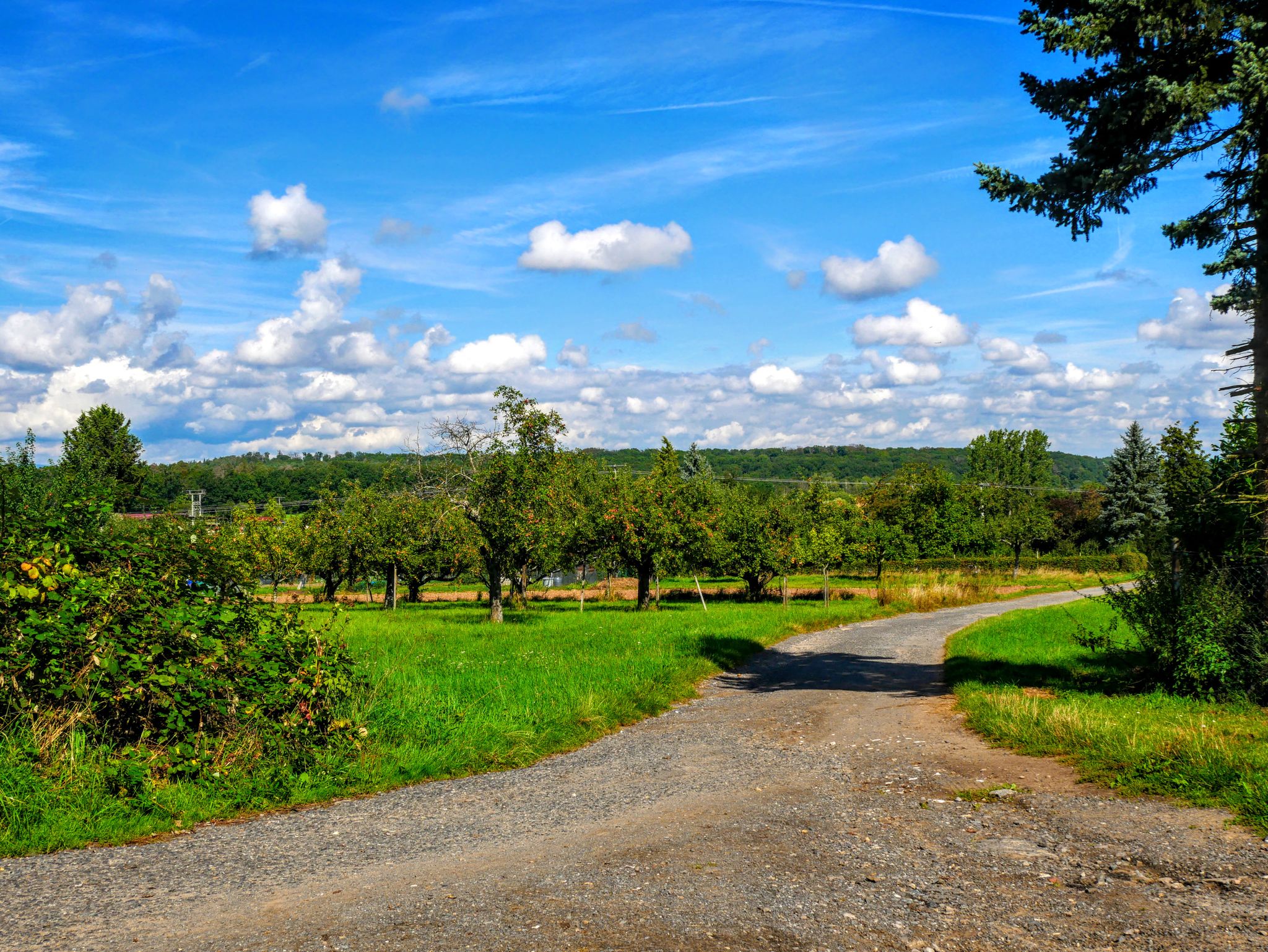 Zeit für eine ausgedehnte Pause. Blick von der Bank in Richtung Dietzenbach.