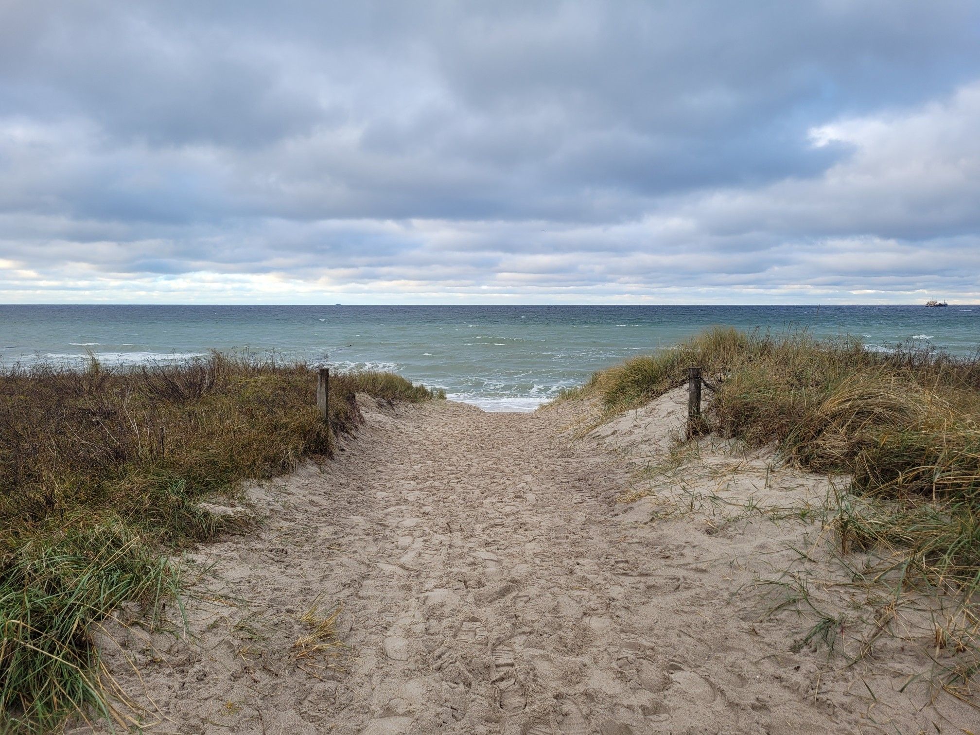 Strand bei Ahrenshoop