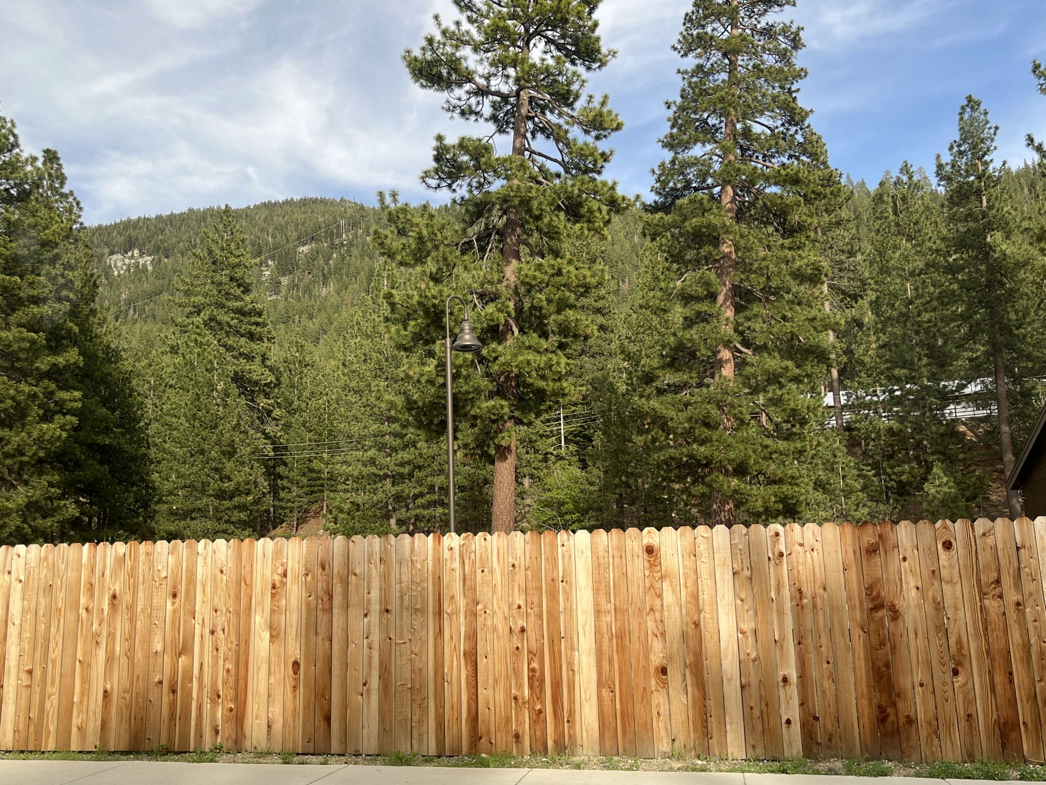 New wooden fence in front of tall pine trees and a distant mountain. - Lakeshore Blvd Bike Path