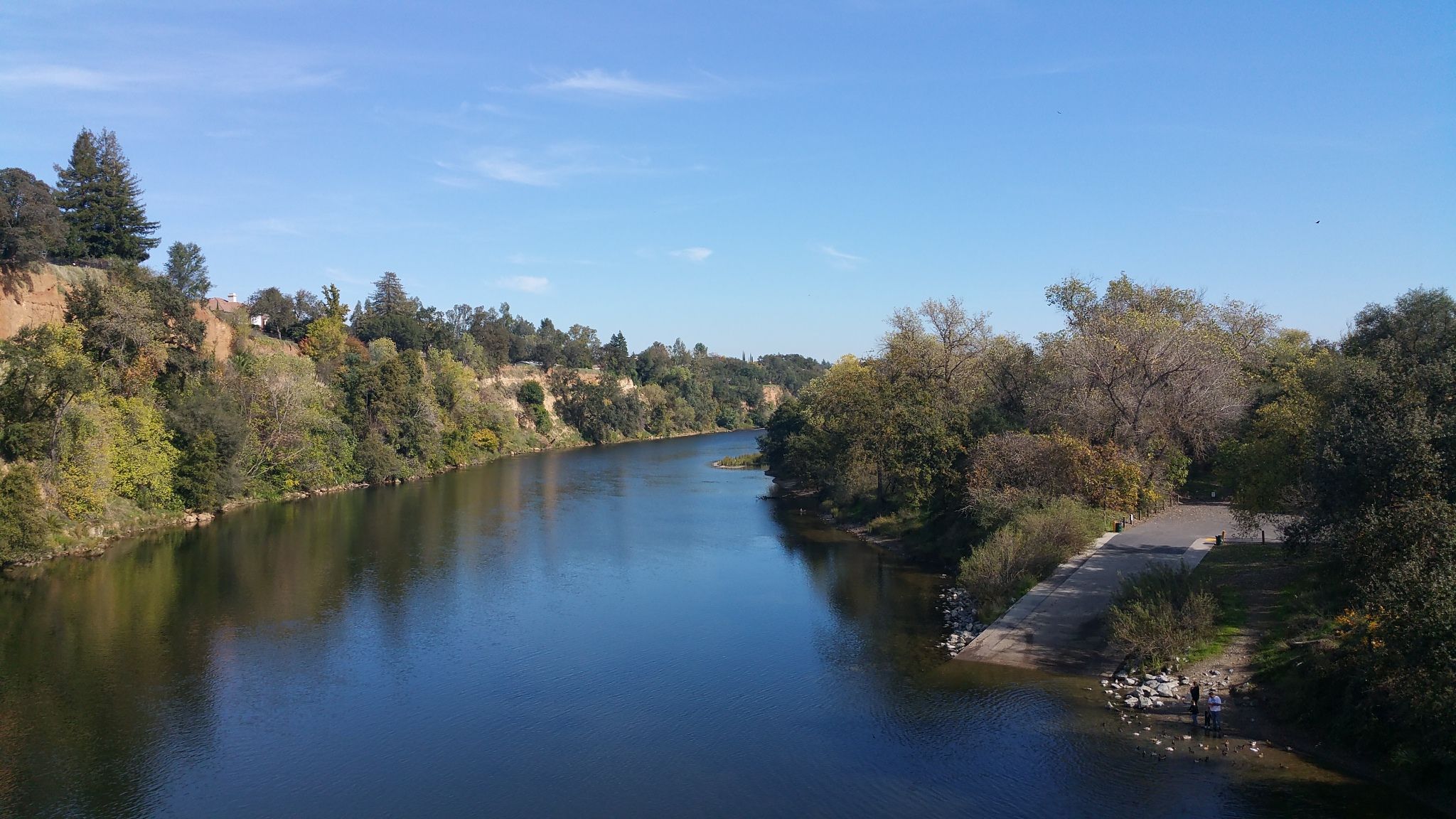 A wide river flows between lush, tree-covered banks under a blue sky. - Jim Jones Bridge – Fair Oaks Bridge loop from Fair Oaks Bridge