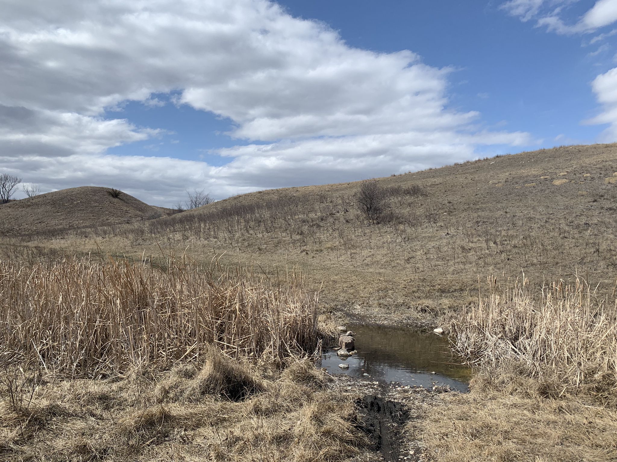Small stream through tall dry grass with rolling hills under a cloudy sky. - Black Butte Loop