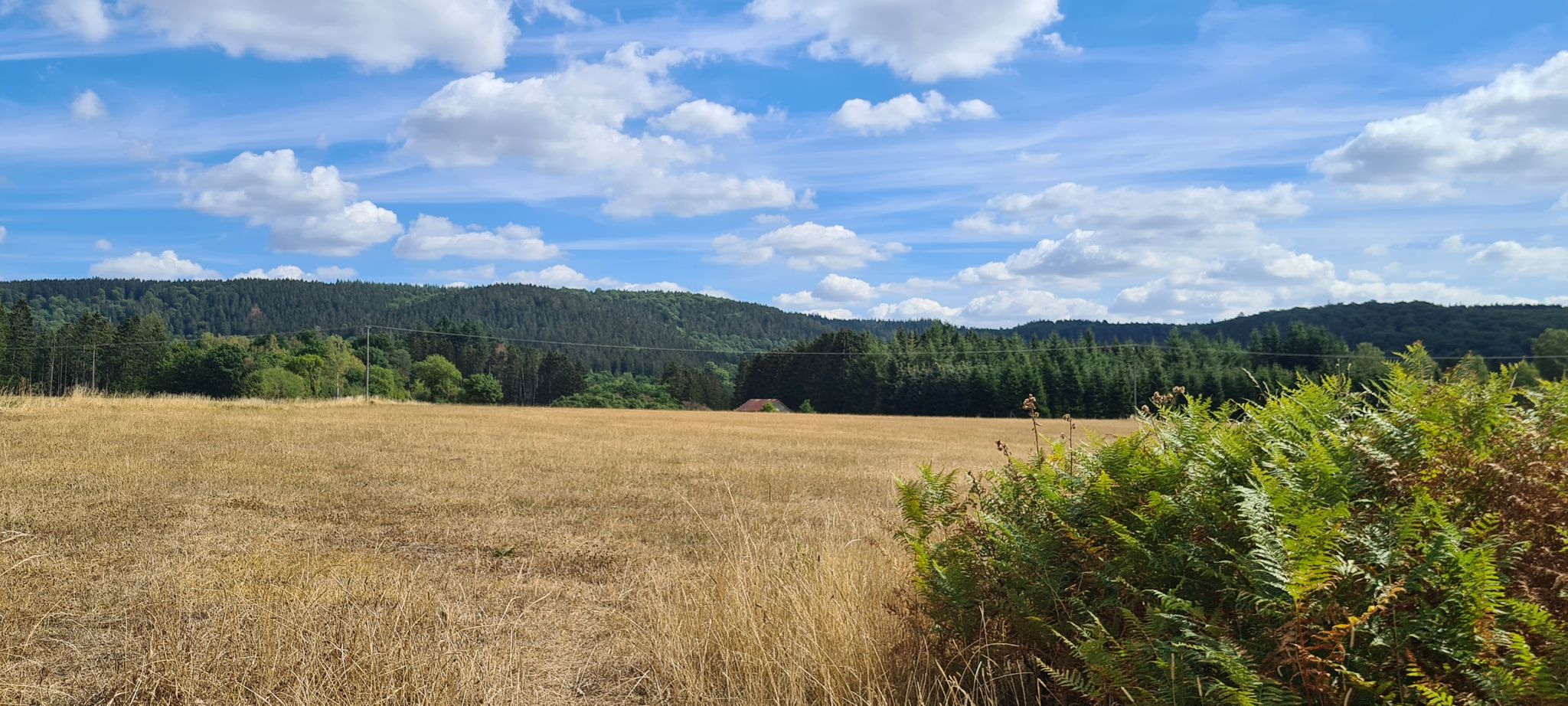 Dorfstrasse in der Nähe von Friedbüsch