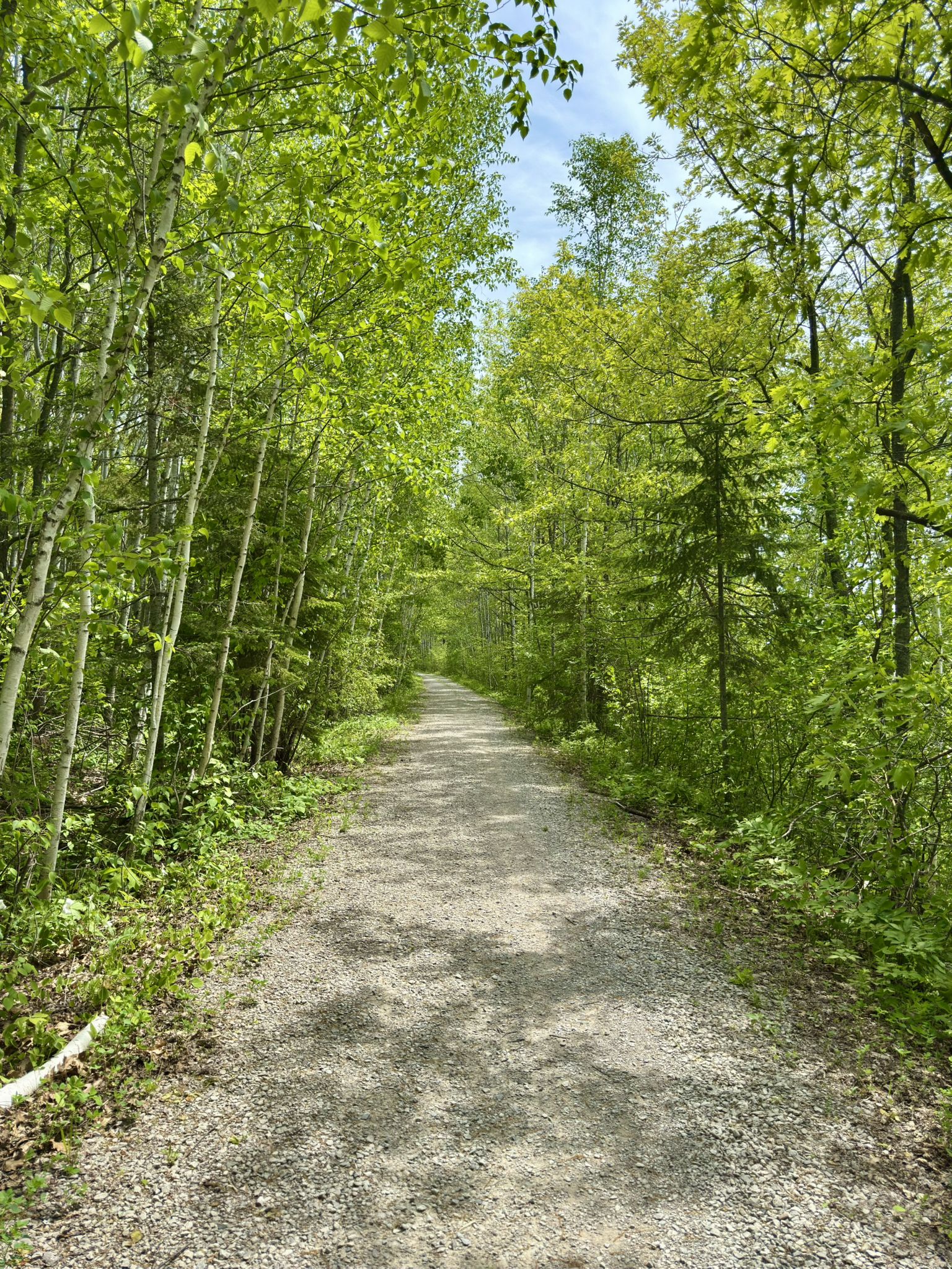 Trail View of the DWP (Duluth, Winnipeg, Pacific) trail