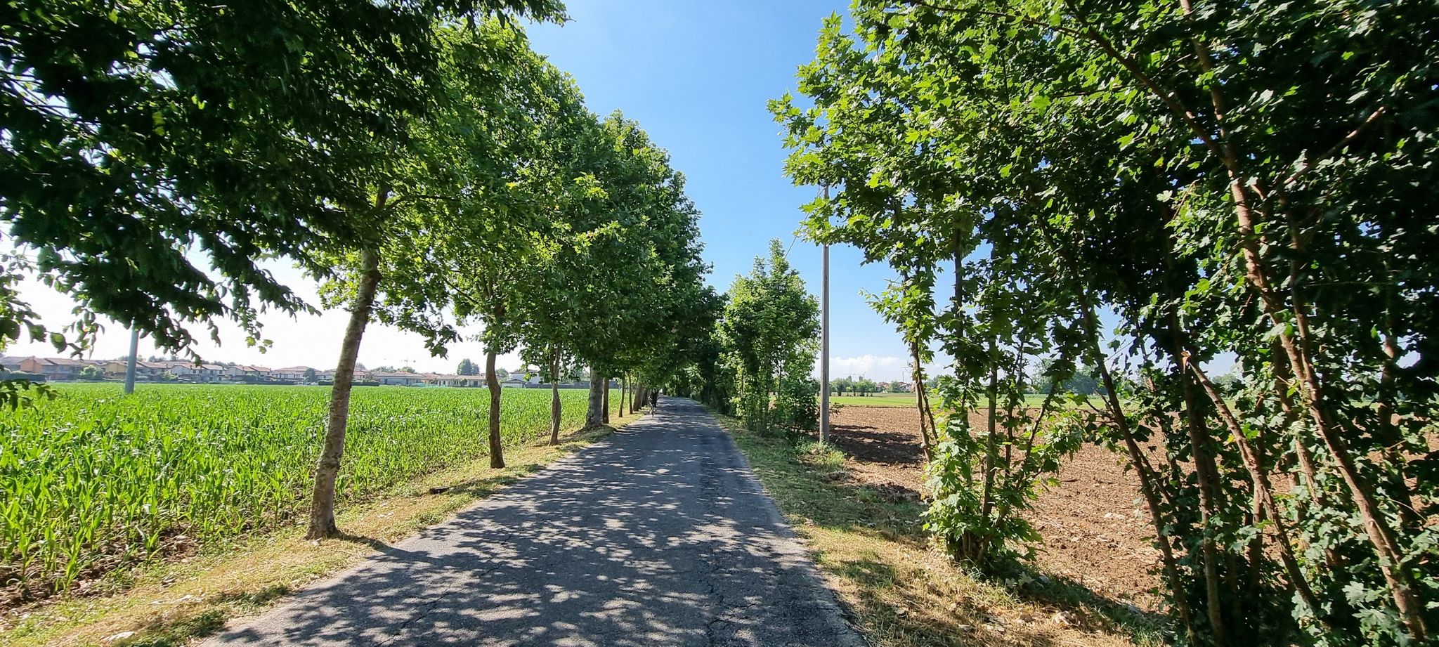 Tra Romano di Lombardia e Covo