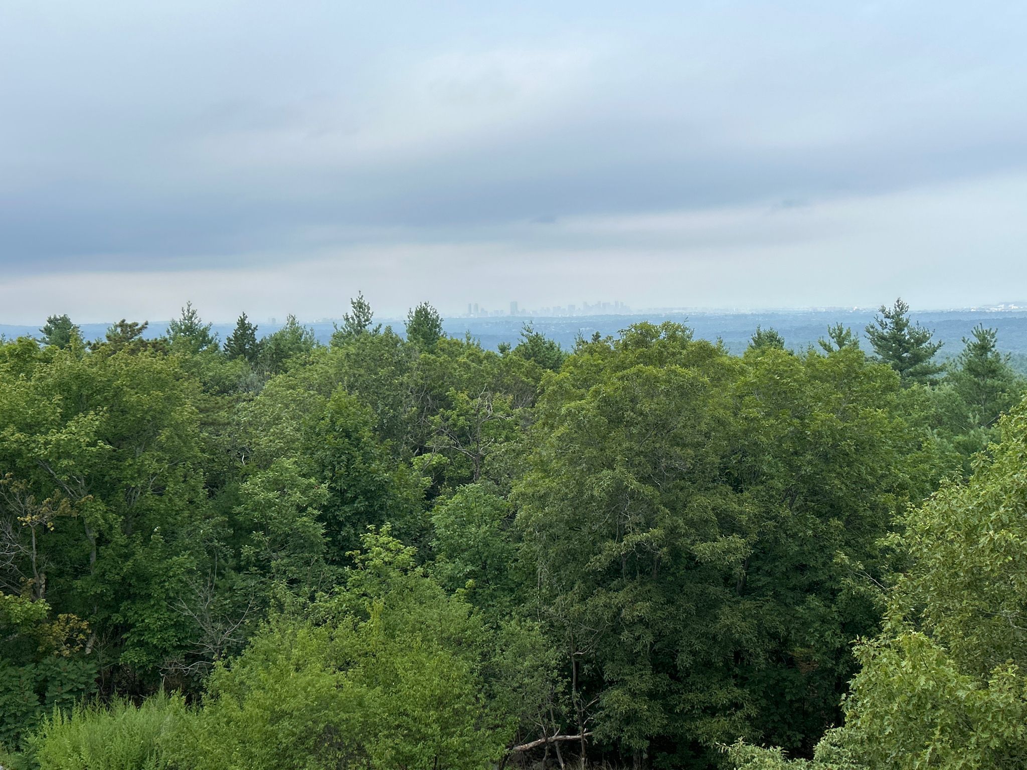 Dense green forest canopy with a hazy distant city skyline under an overcast sky. - Hancock Hill – Wolcott Path loop from Great Blue Hill