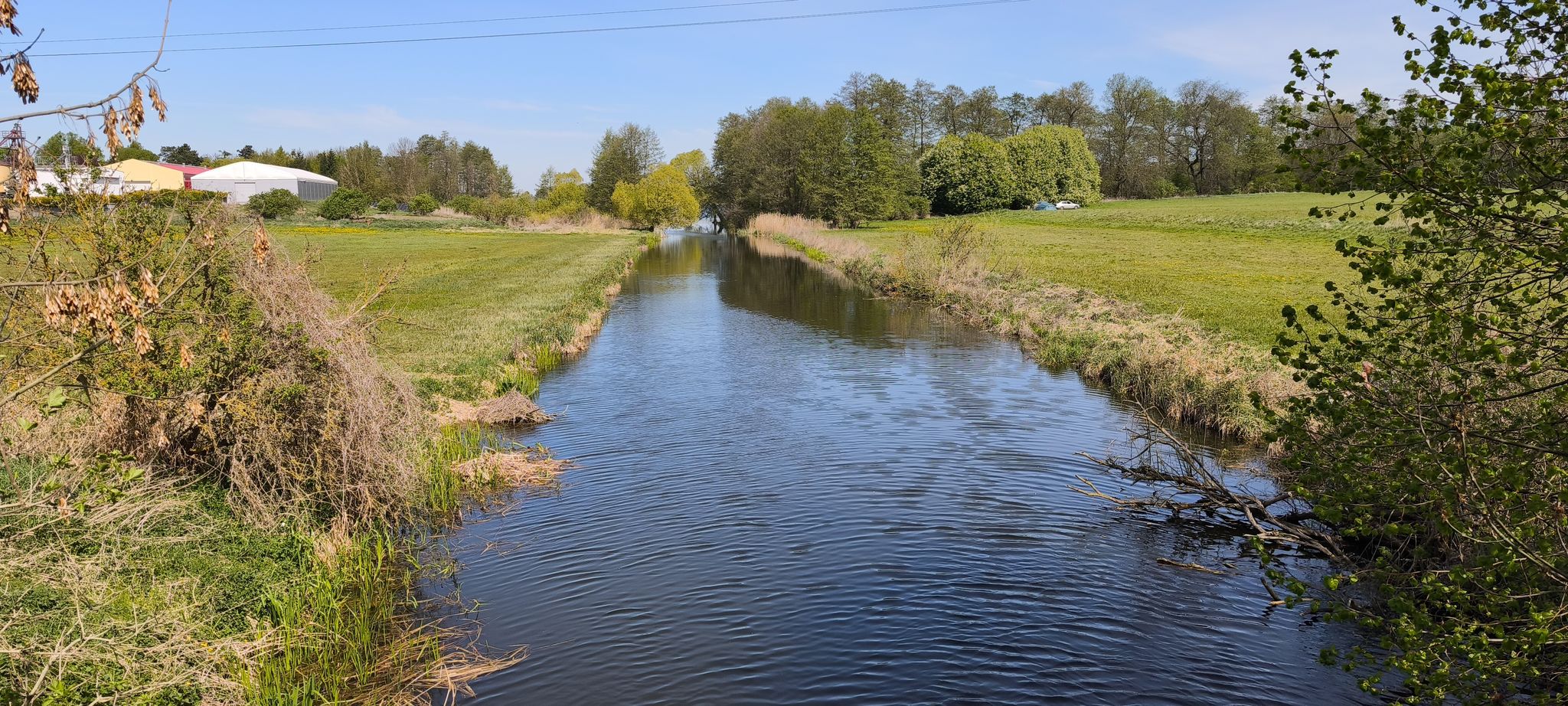 Gąsawka