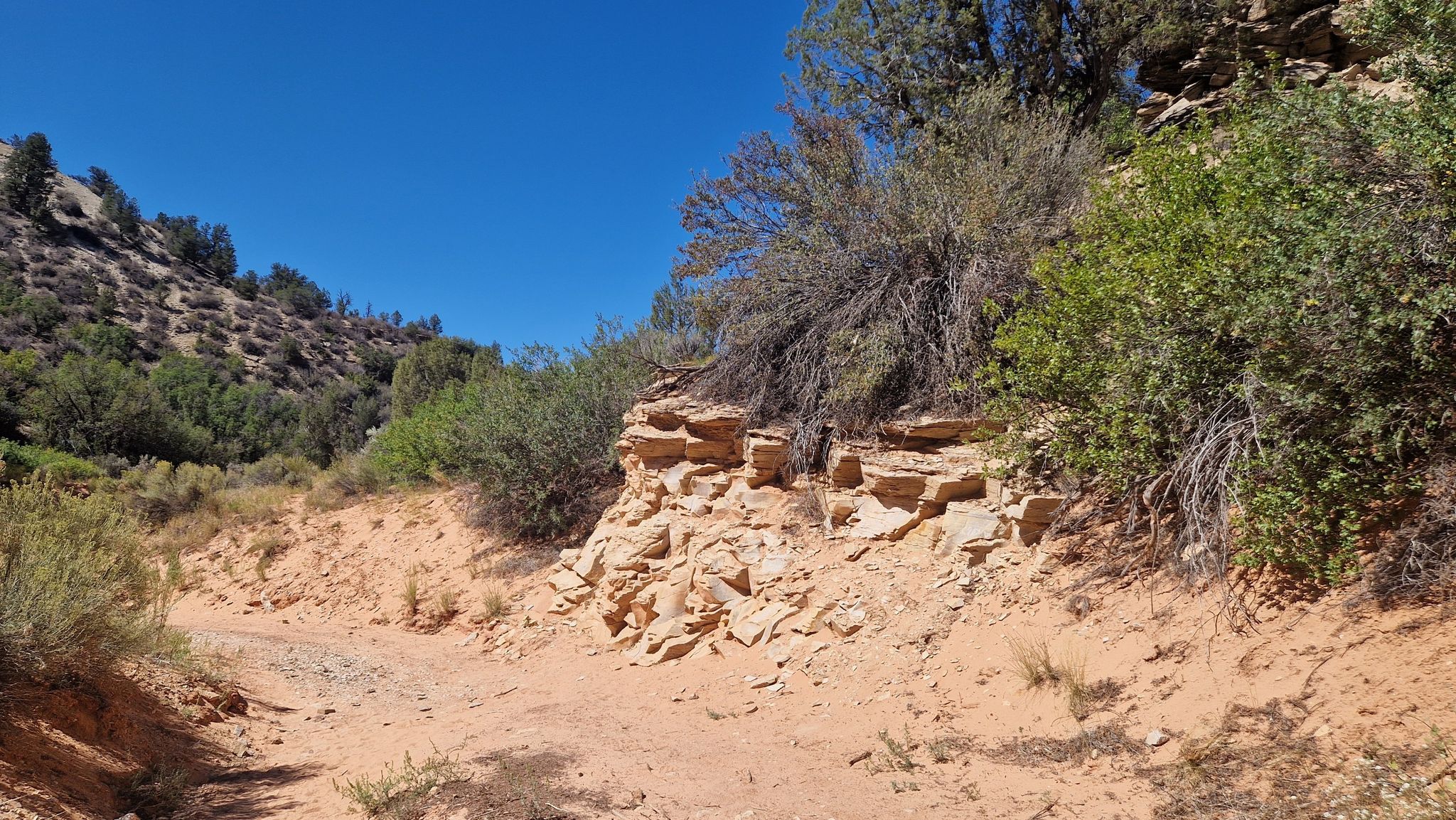 Sandy trail curving right, with rocky ledges and green bushes. - Belly of the Dragon Trail