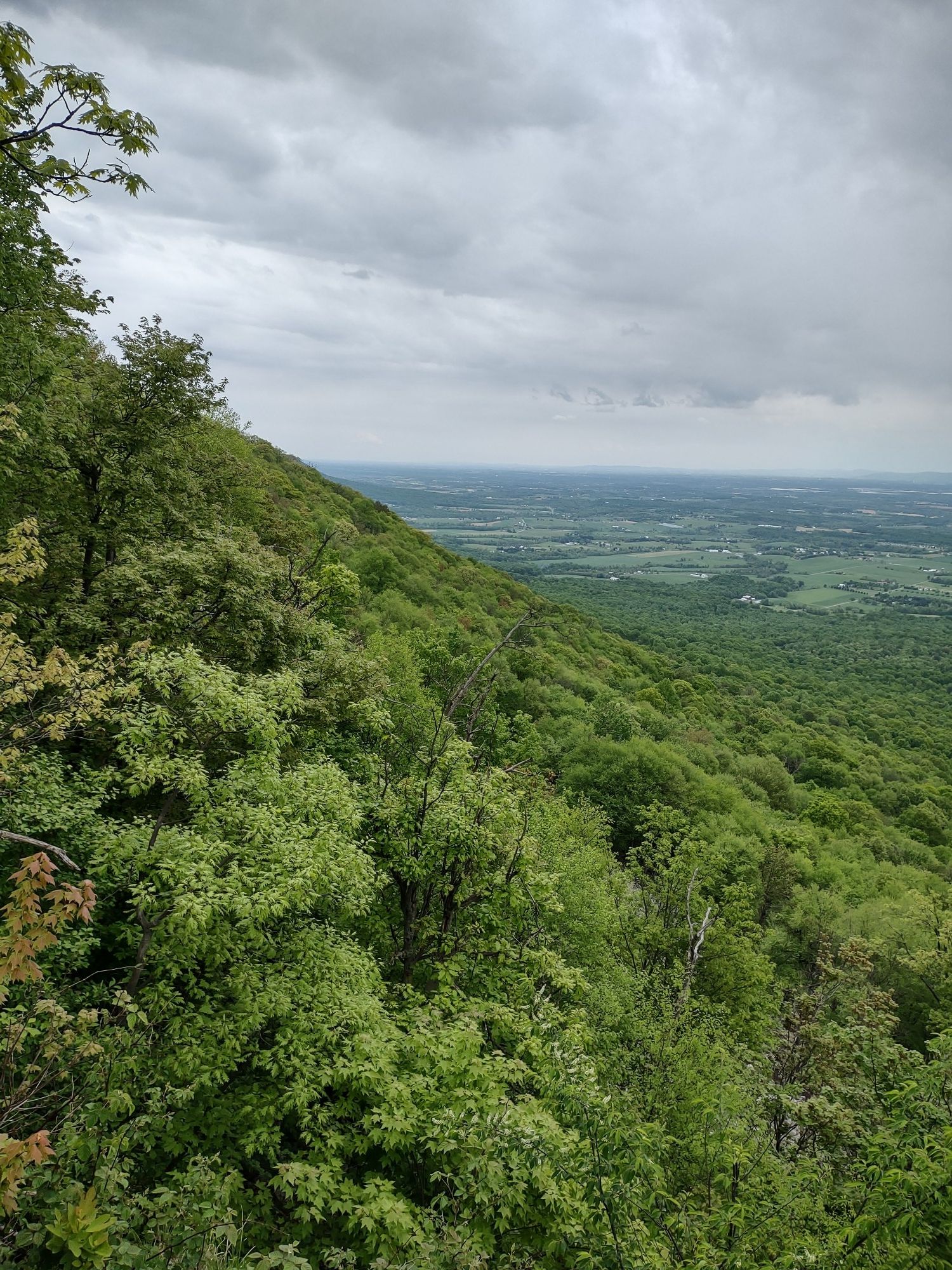 A lush green mountain slope descends into a distant valley under cloudy skies. - Flat Rock Loop Trail