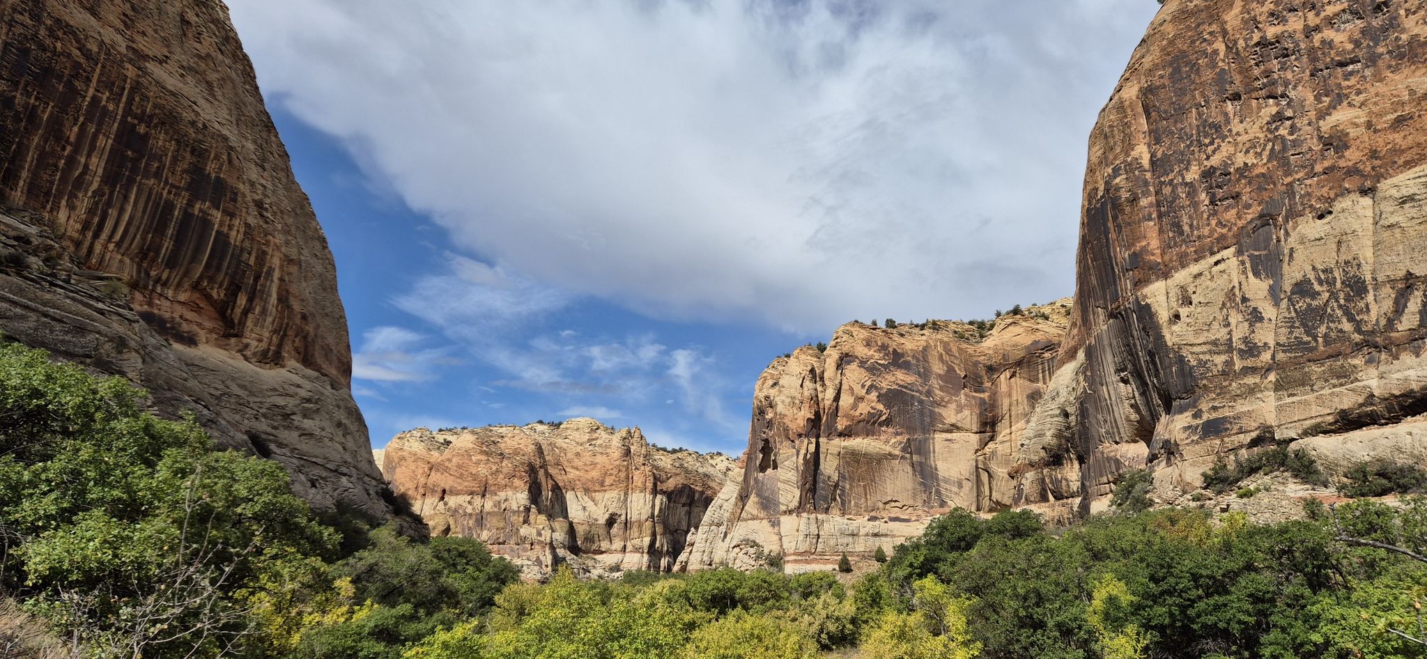 Towering canyon walls frame green trees under a partly cloudy sky. - Lower Calf Creek Falls Trail