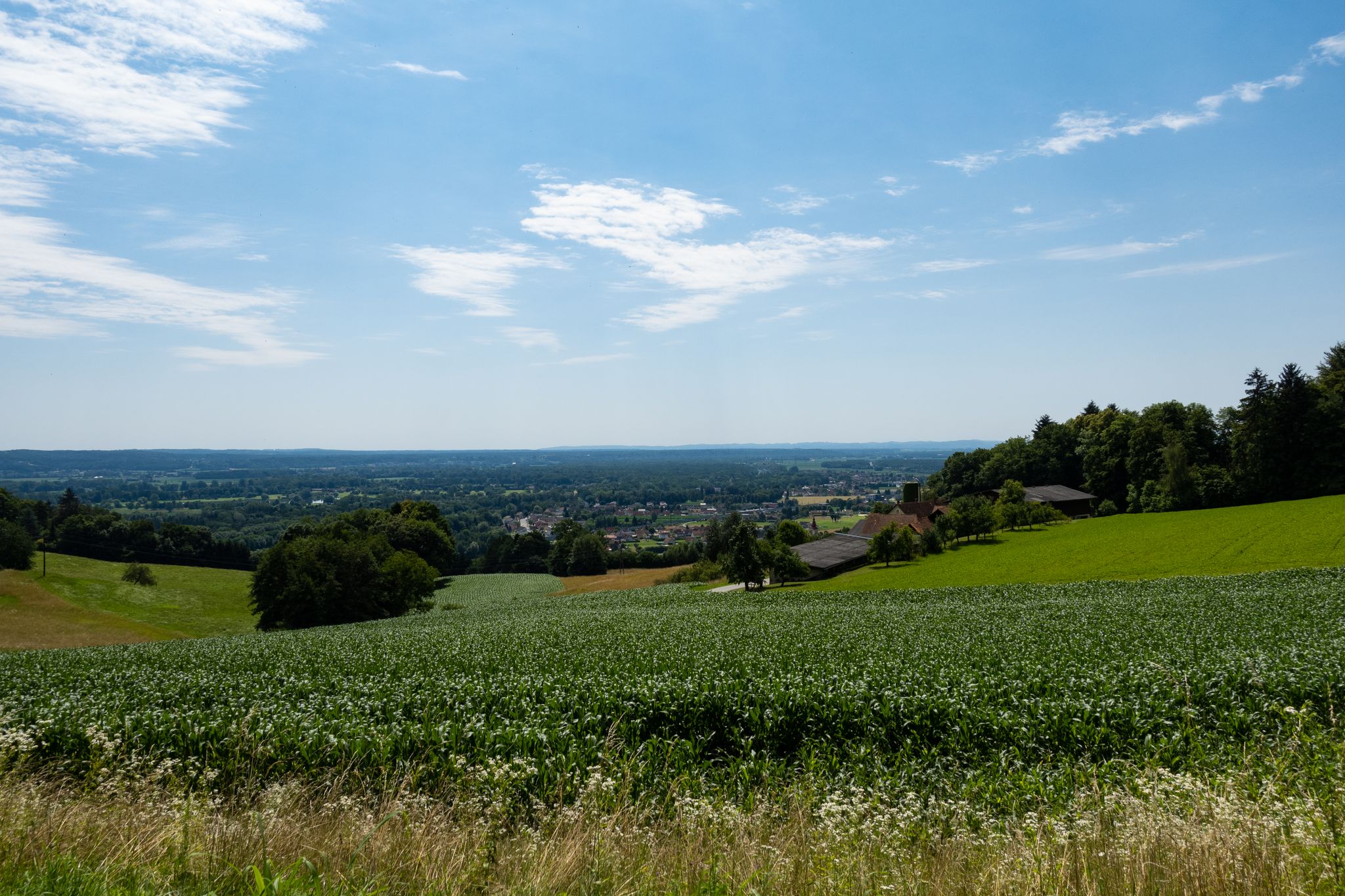 Aussicht vom Bankerl