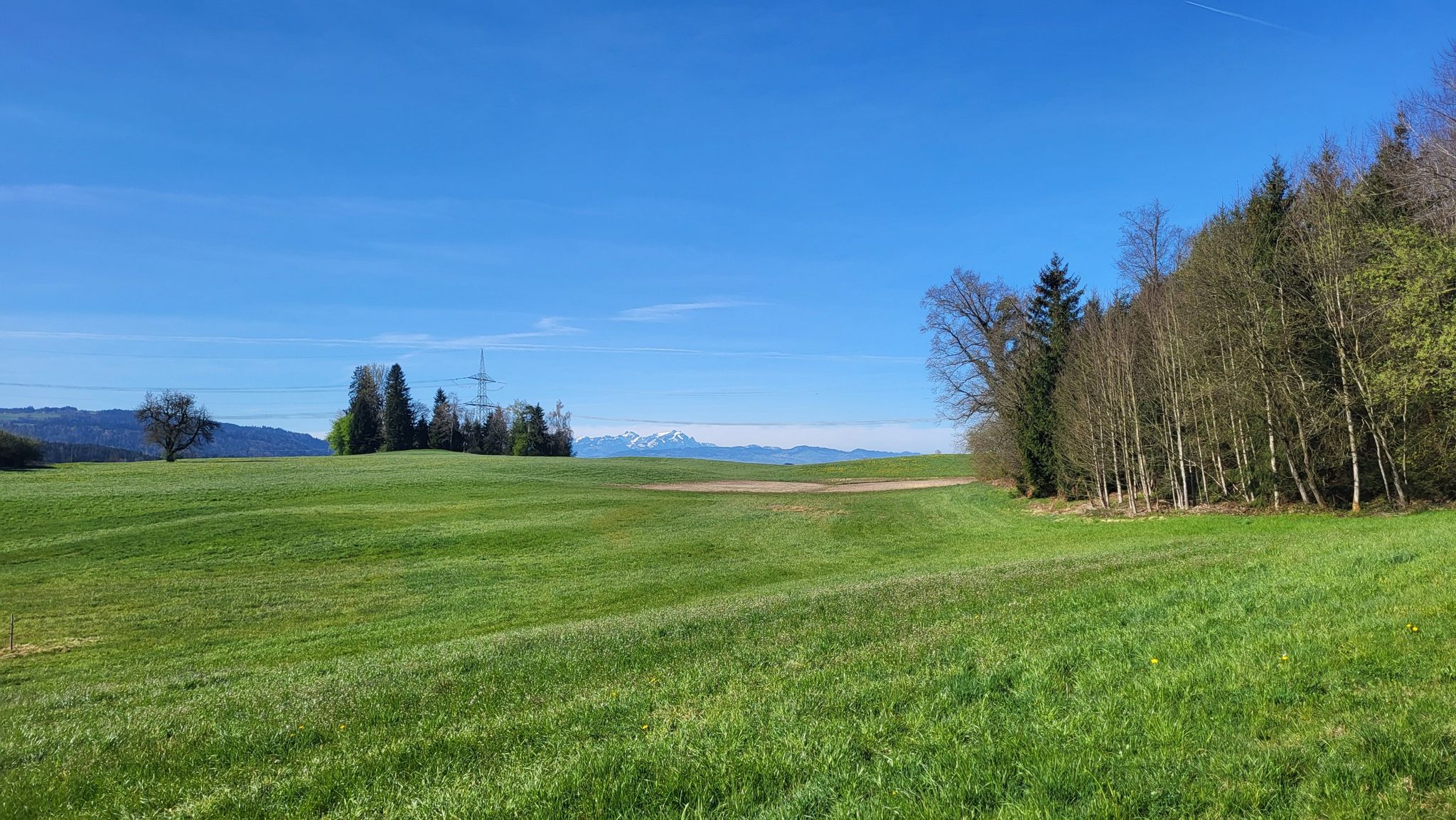 Blick zum Säntis
