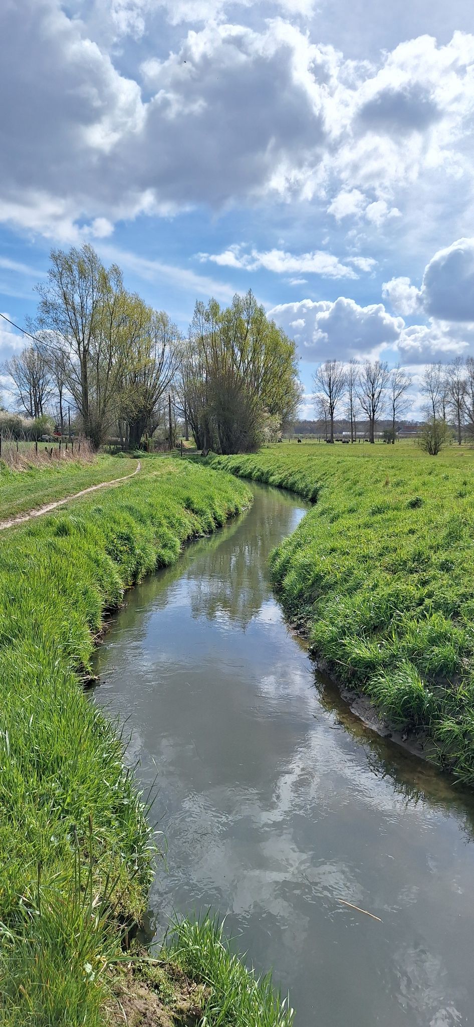 langs de Velpe