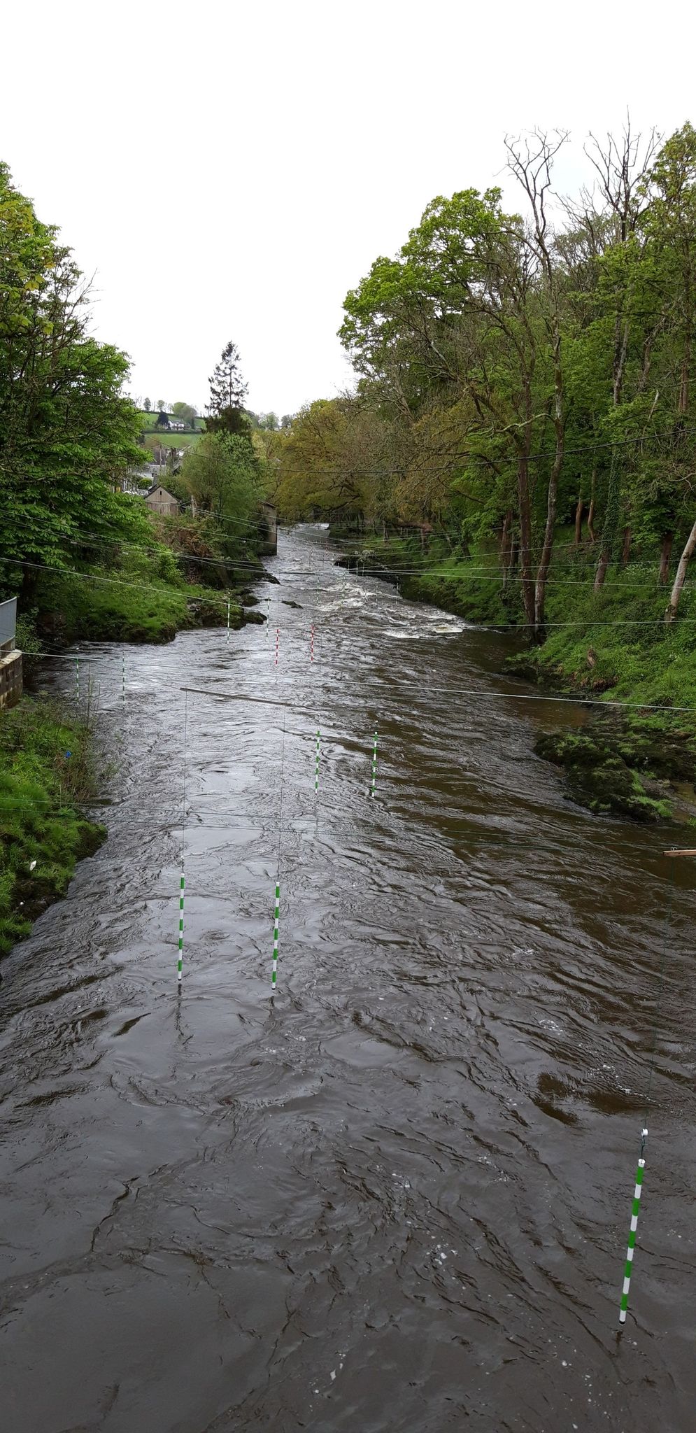 River Teifi