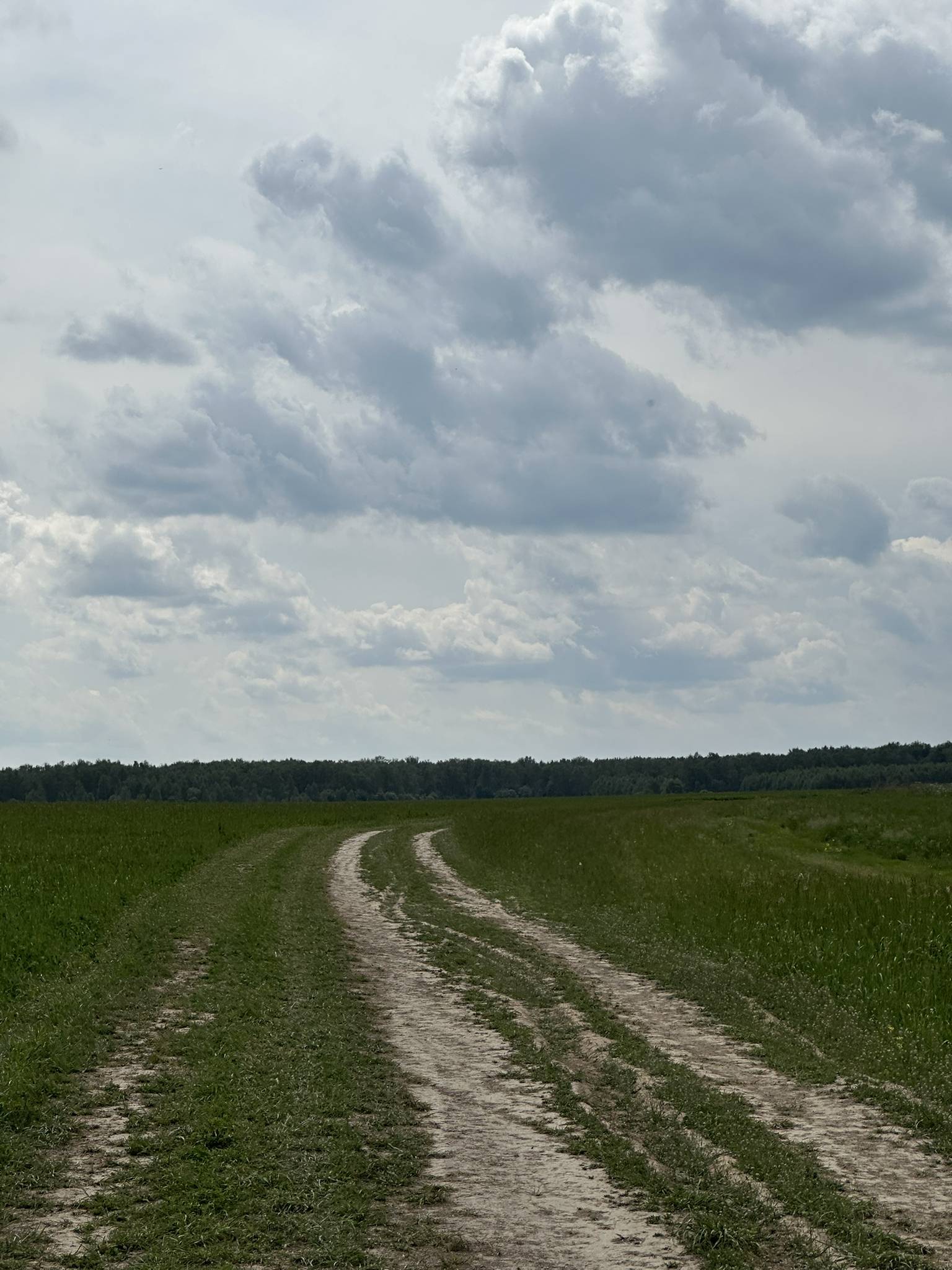 Просёлок