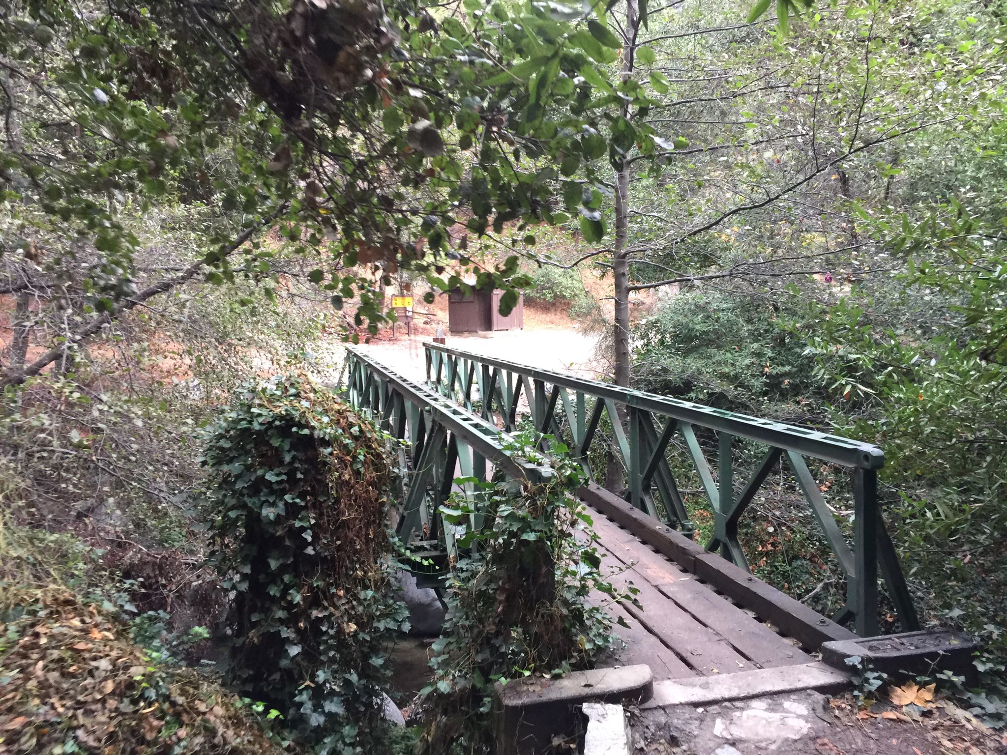 A green metal bridge with wooden planks crosses a stream in a dense forest. - Sturtevant Falls Trail