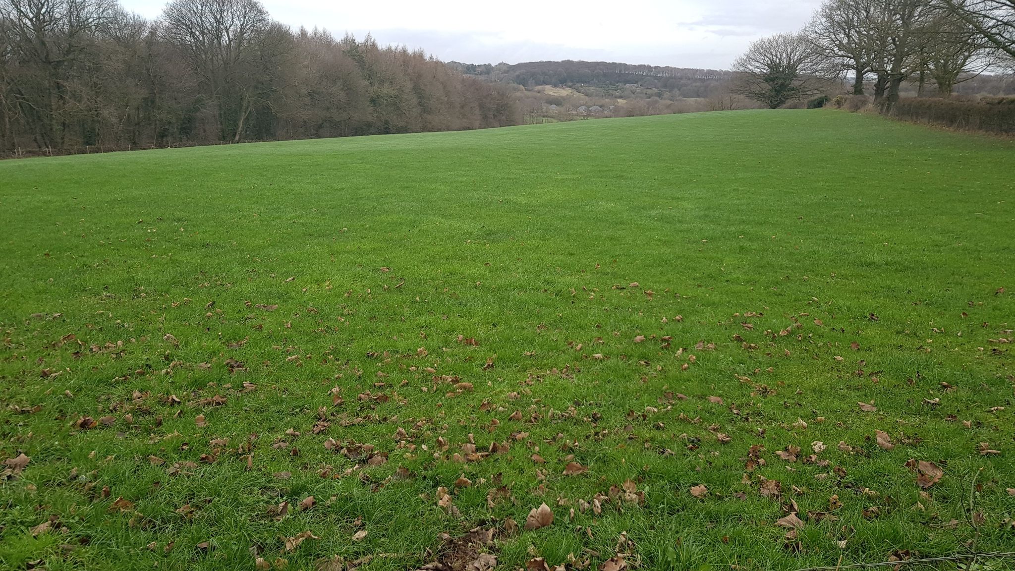Looking back to Wingerworth