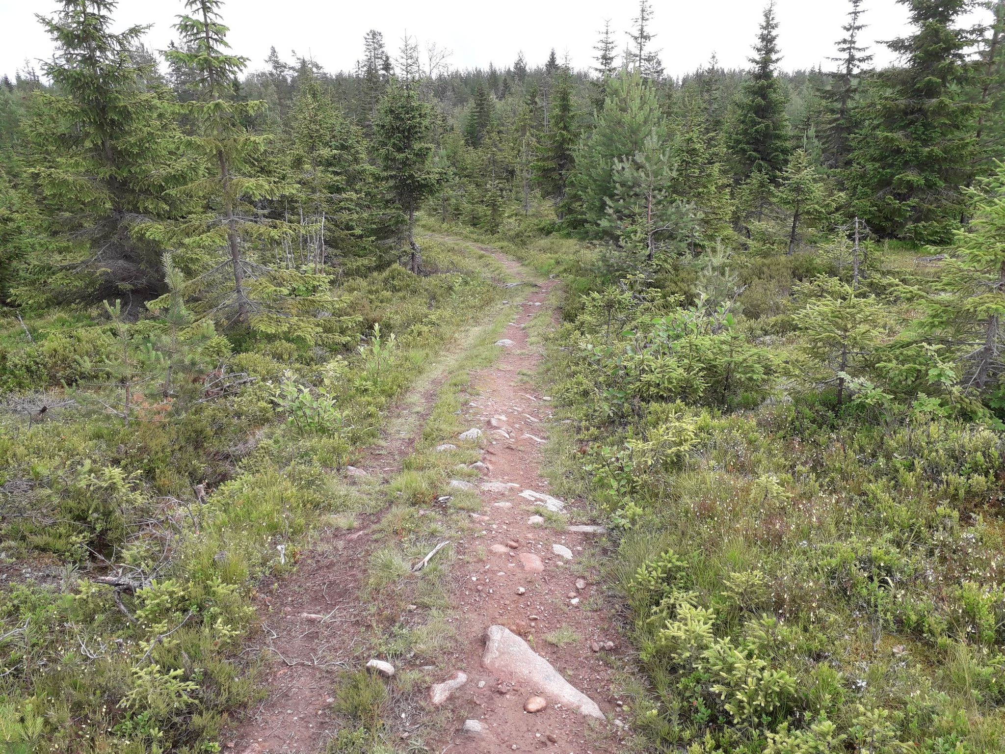 stony singletrail
