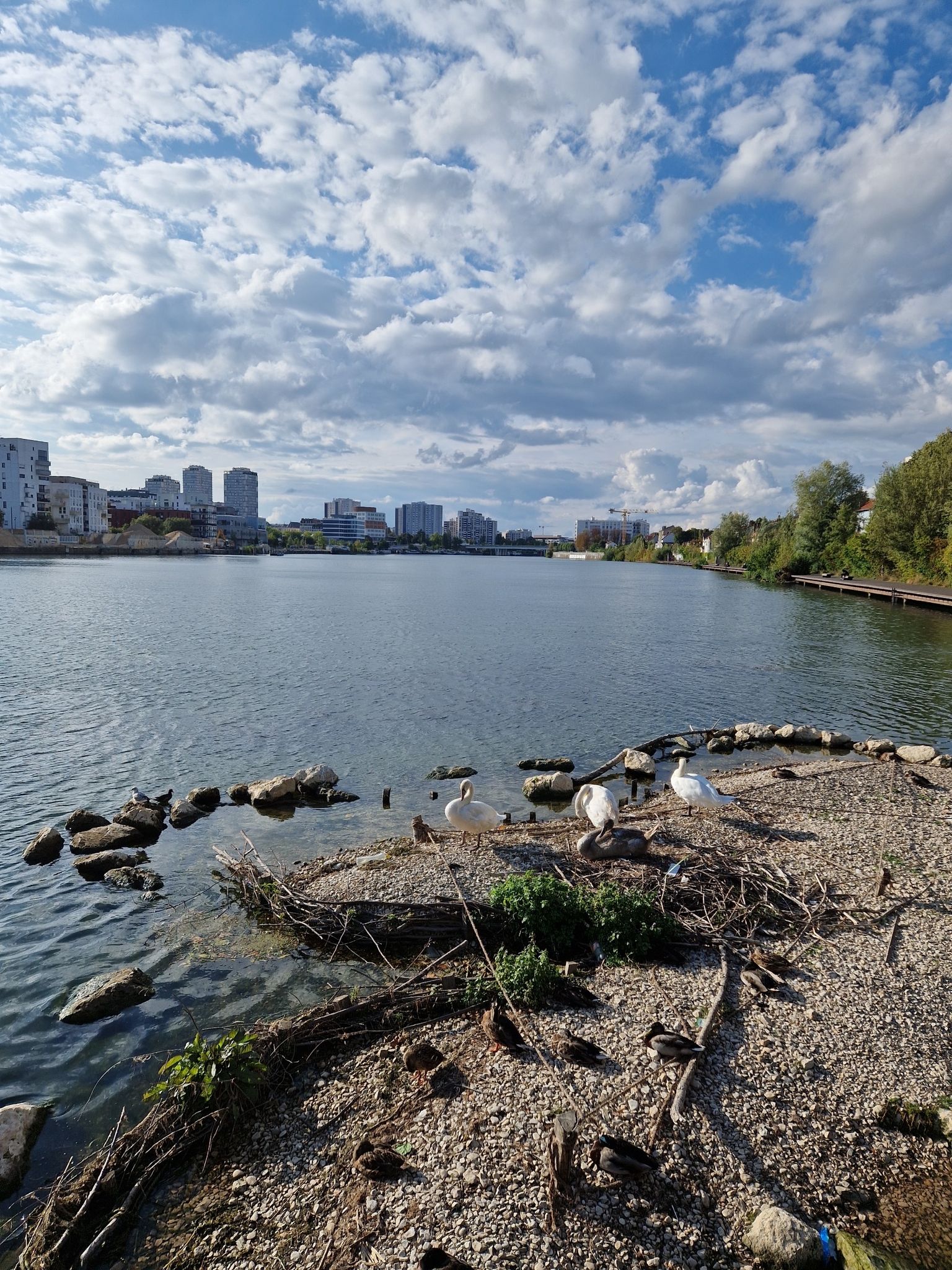 la seine vu de choisy