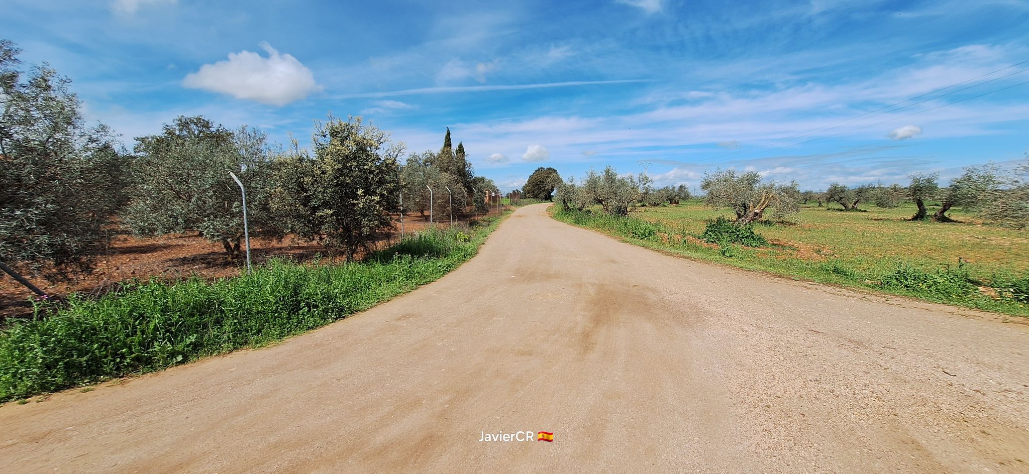 camino de Carrion a Pozuelo