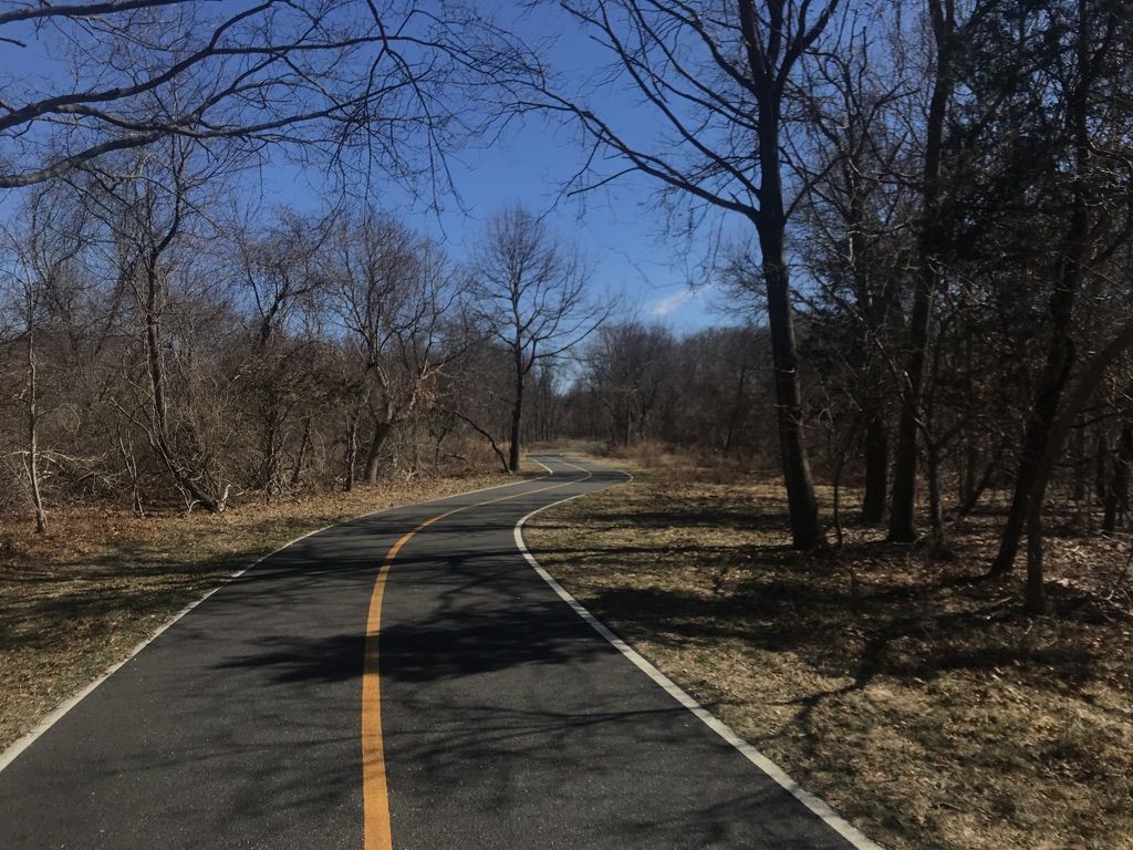 Paved path curves through a bare winter forest under a clear blue sky. - Old Field Point Light – Cordwood Park loop from Port Jefferson