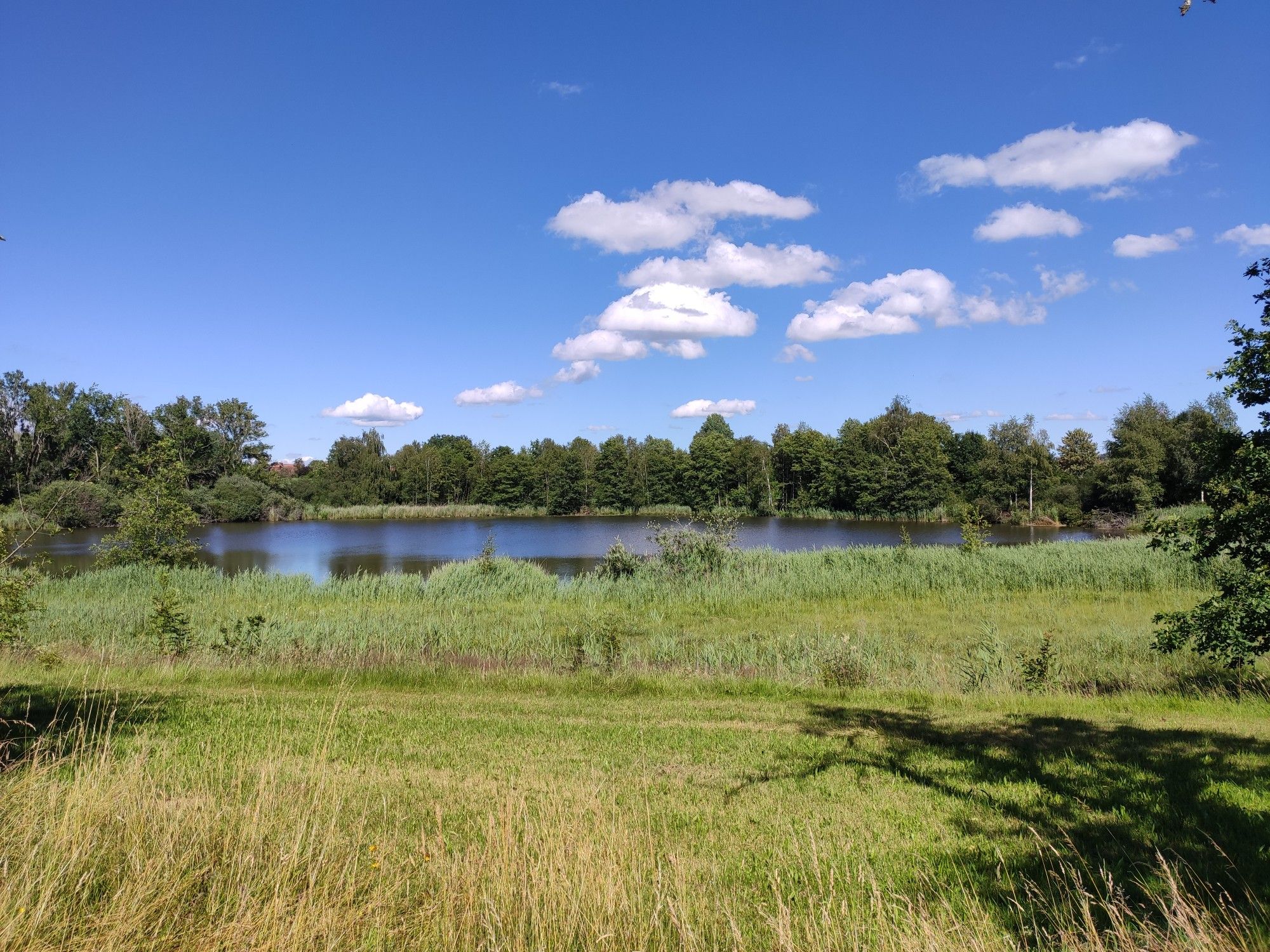 Schlingsee