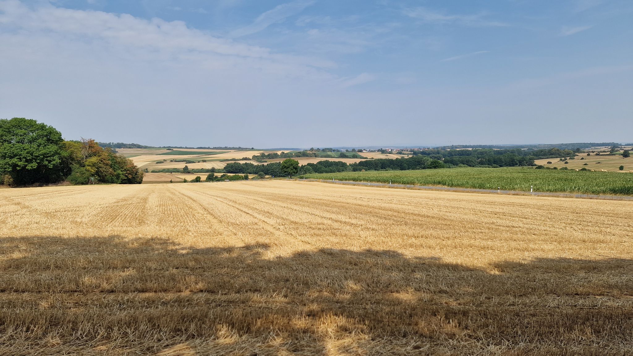 Eine öde Landschaft