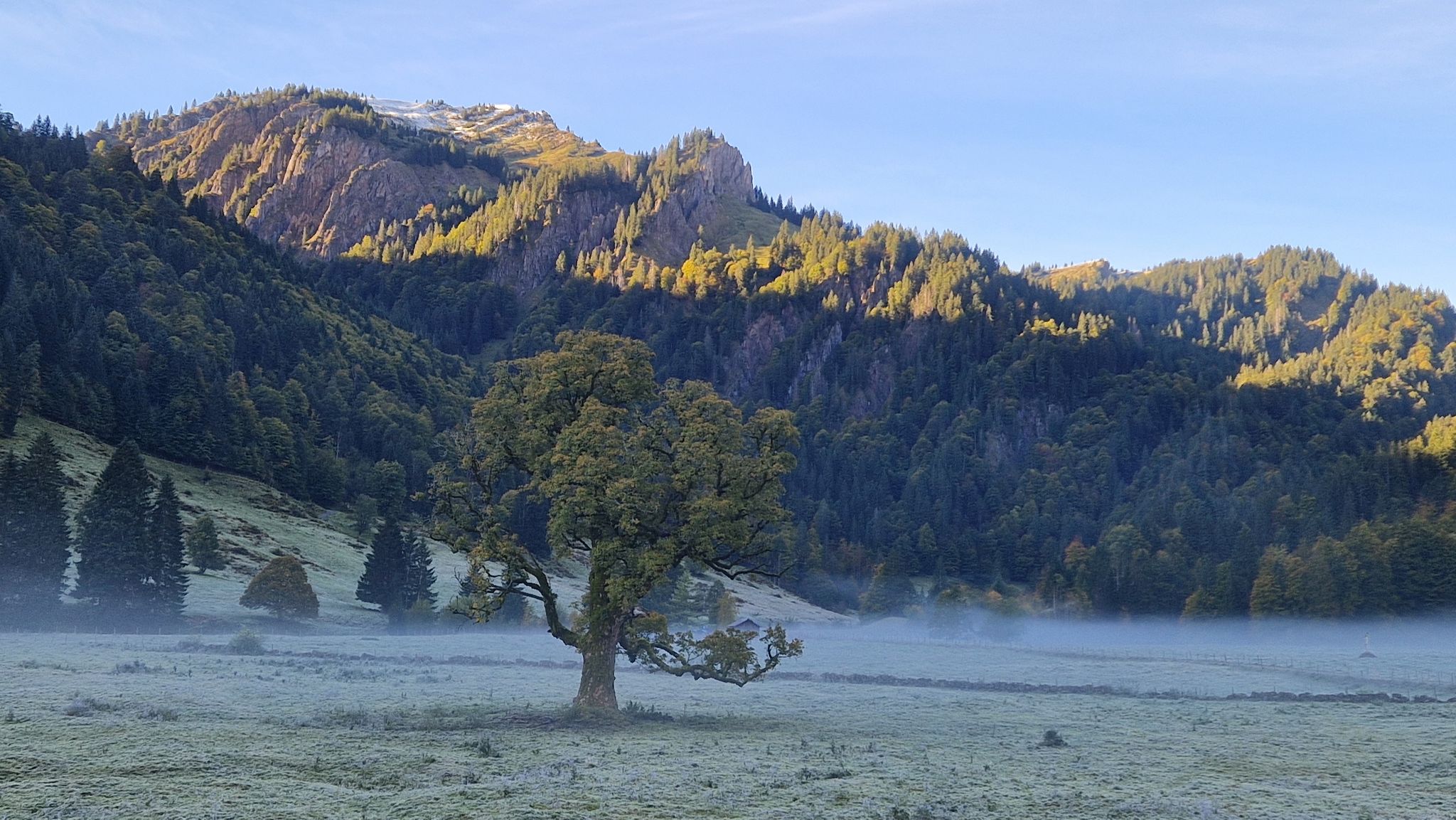 Aubachtal 1 Grad morgens um ca. 9 Uhr