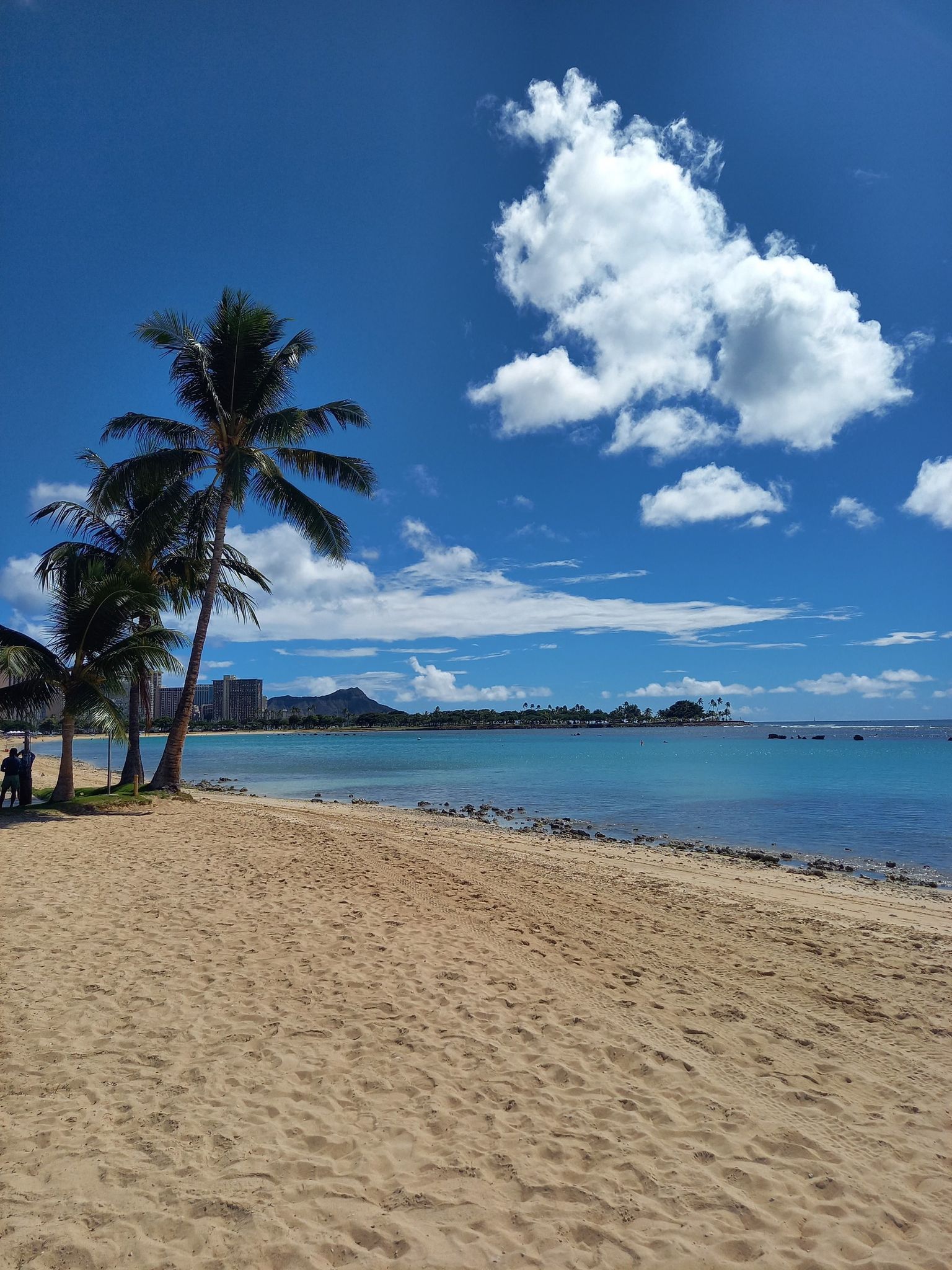 Sandy beach with palm trees, calm blue water, and a cloudy sky. - Lei of Parks Trail